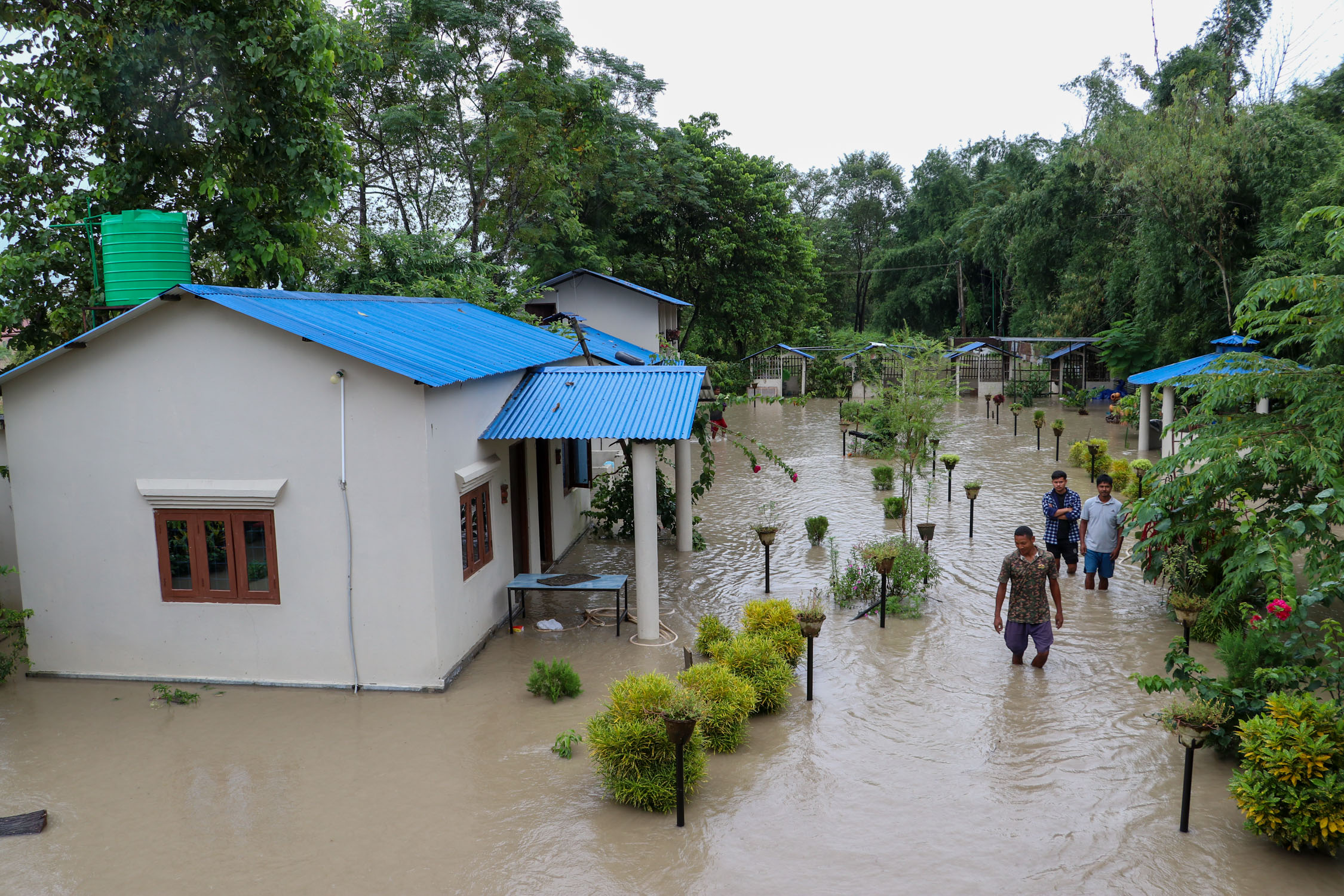 Amaltari-East-Nawalpur-Narayani-Dubhan_NPL-(4)-1790425882.JPG