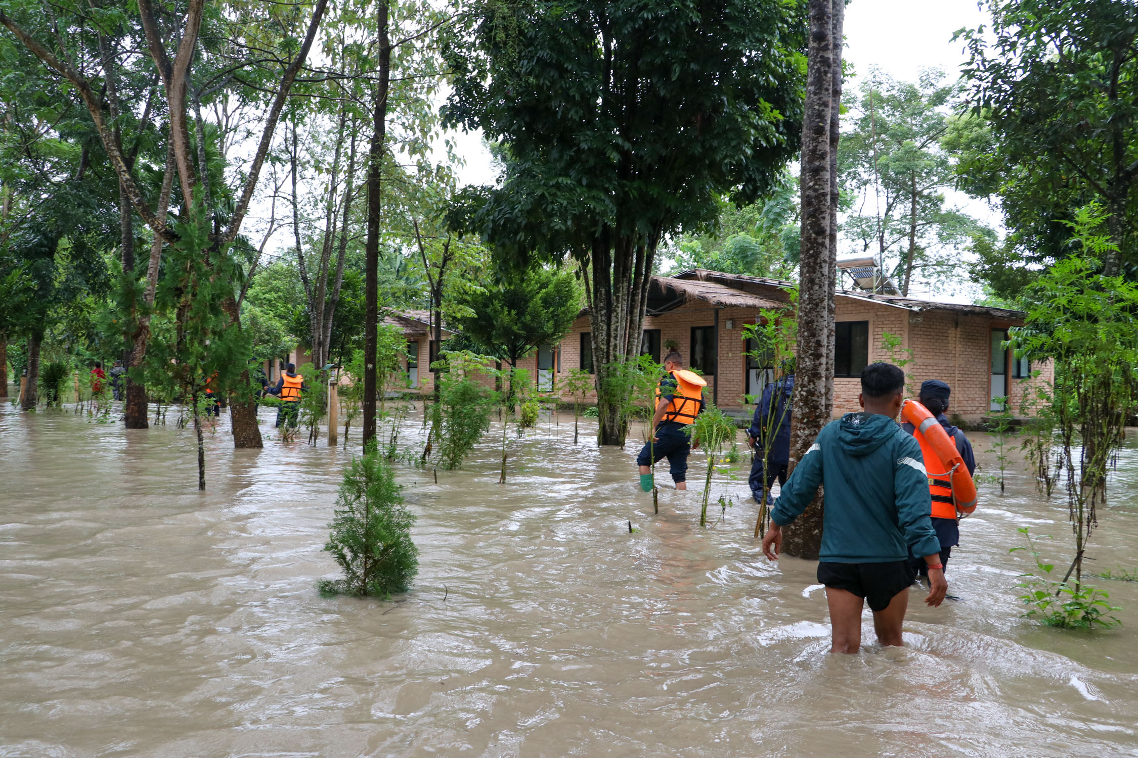 Amaltari-East-Nawalpur-Narayani-Dubhan_NPL-(5)-1790425883.JPG