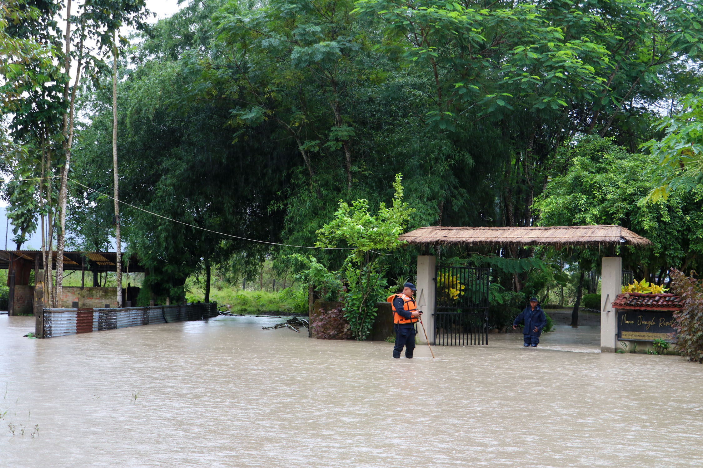 Amaltari-East-Nawalpur-Narayani-Dubhan_NPL-(8)-1790425884.JPG