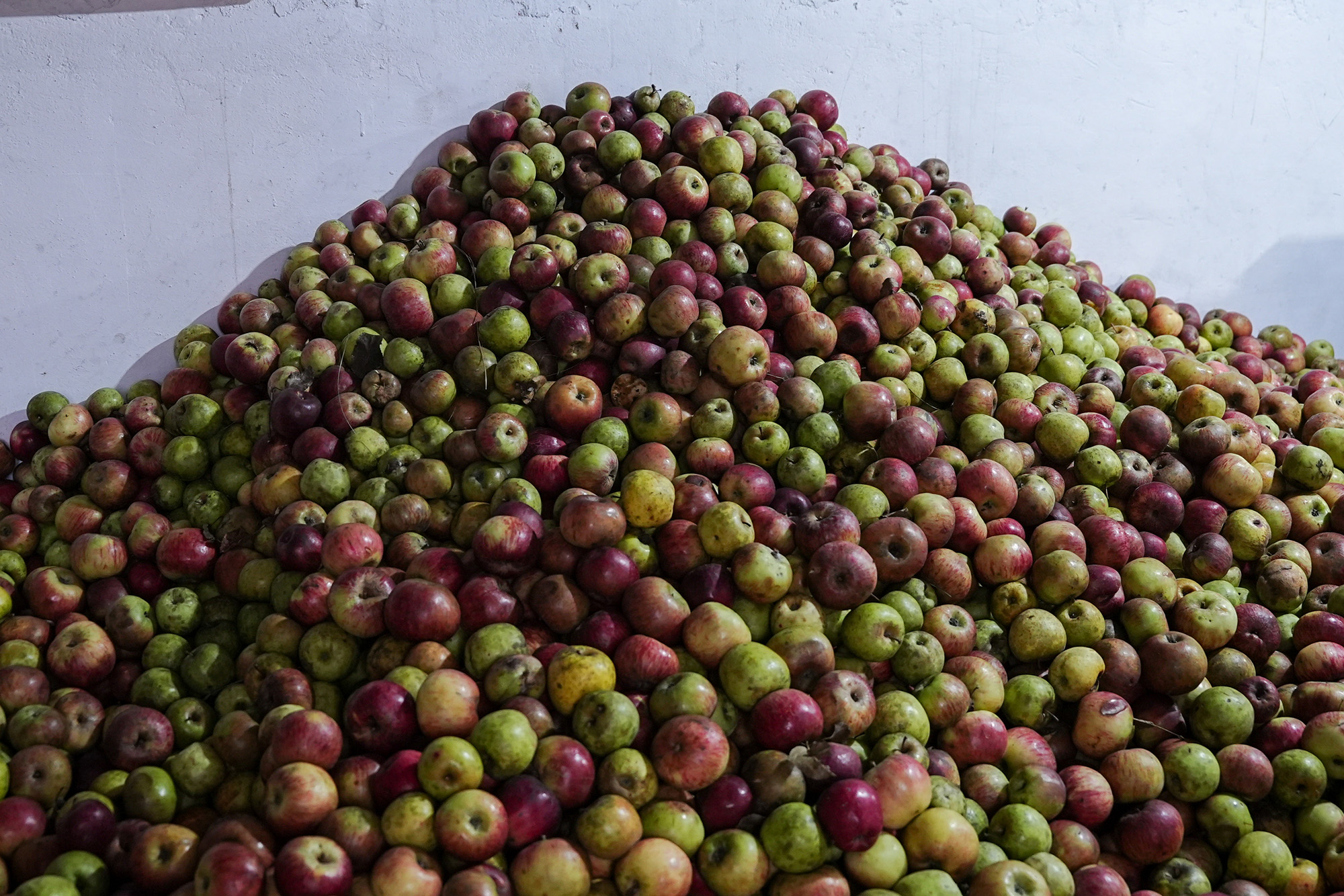 Apple_Jumla_NPL_PCT-(5)-1792217149.jpg
