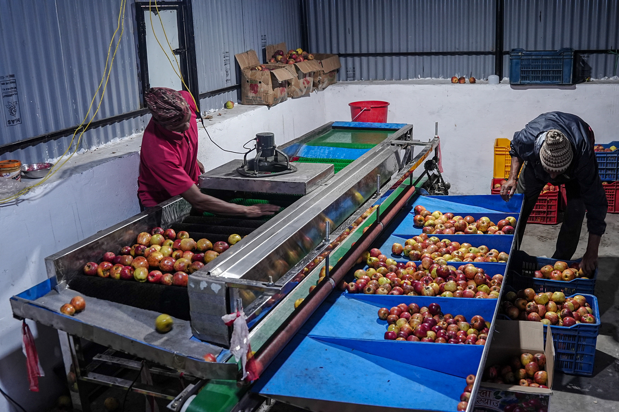 Apple_Jumla_NPL_PCT-(6)-1792217150.jpg