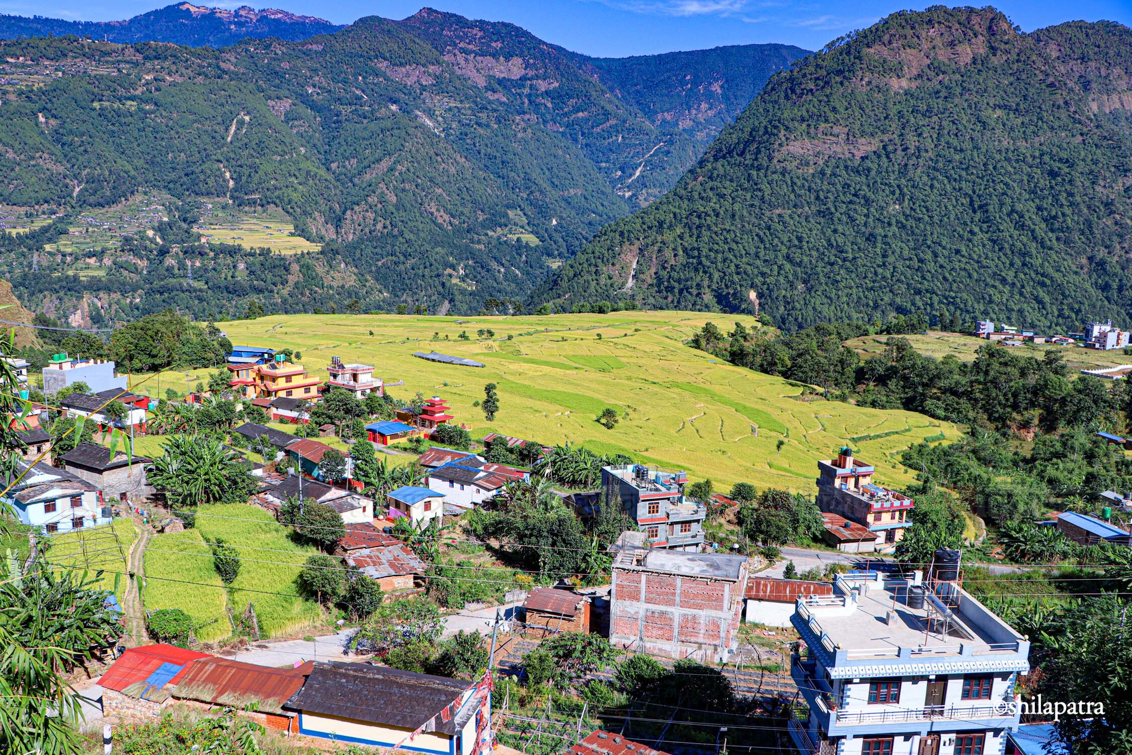 Baglung-Kudule-Dhan-Khet_NPL_Dammar-BudhaPhotos-(2)-1793256392.jpg
