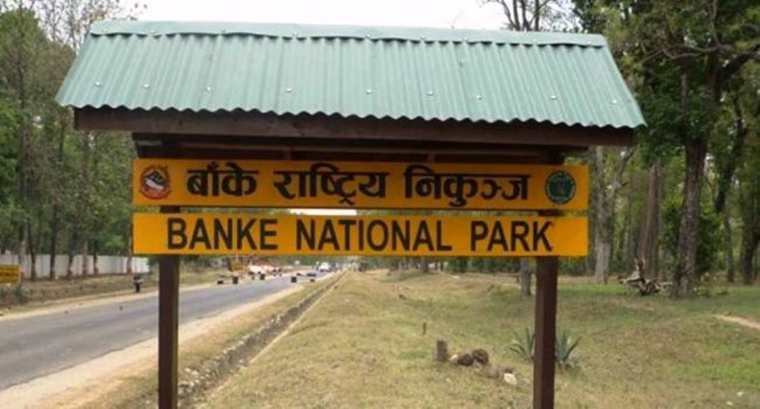 जनावरका लागि निर्माण गरेको पुल सञ्चालनमा