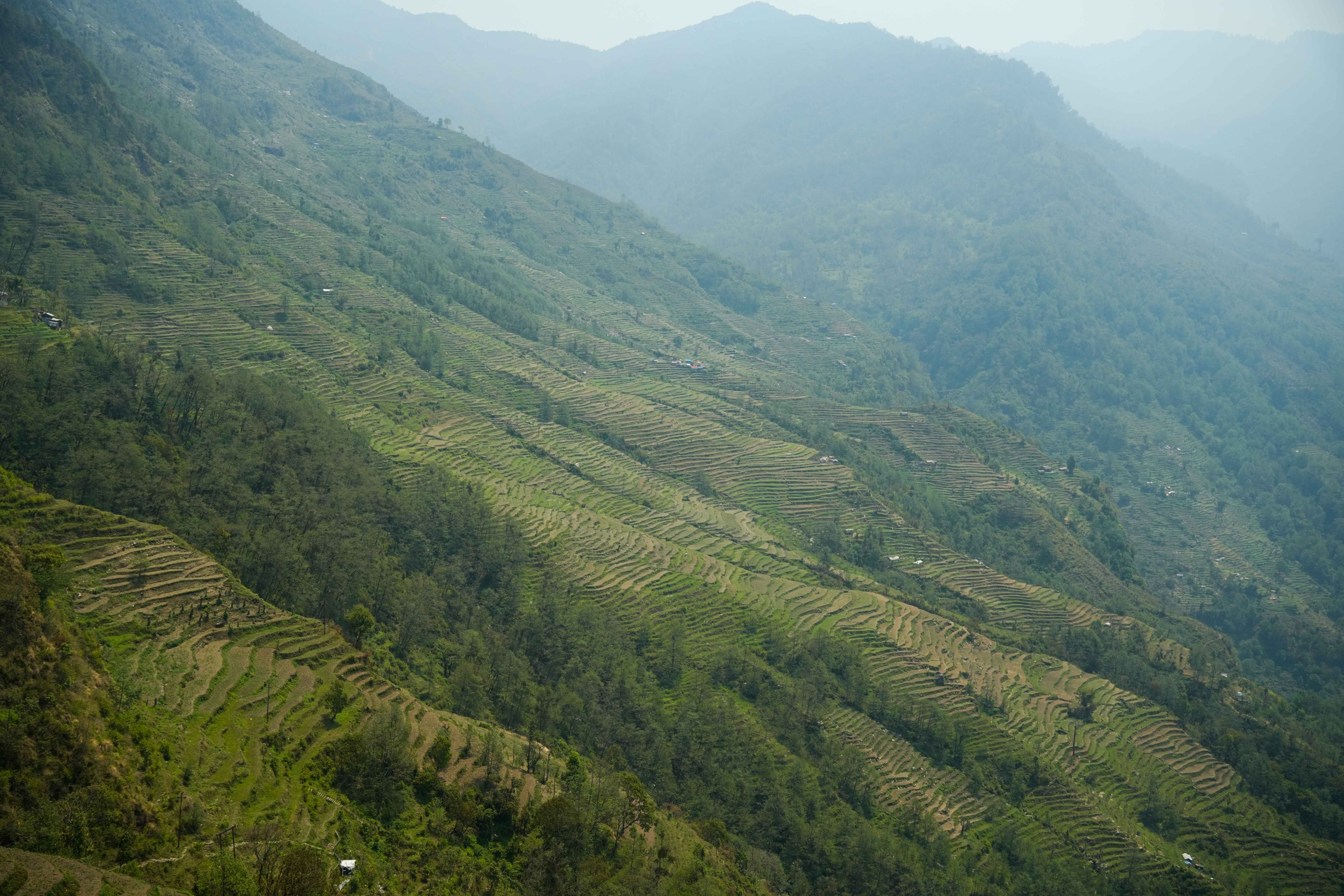 Barpak_Gorkha_DSC07012-1778904328.jpg