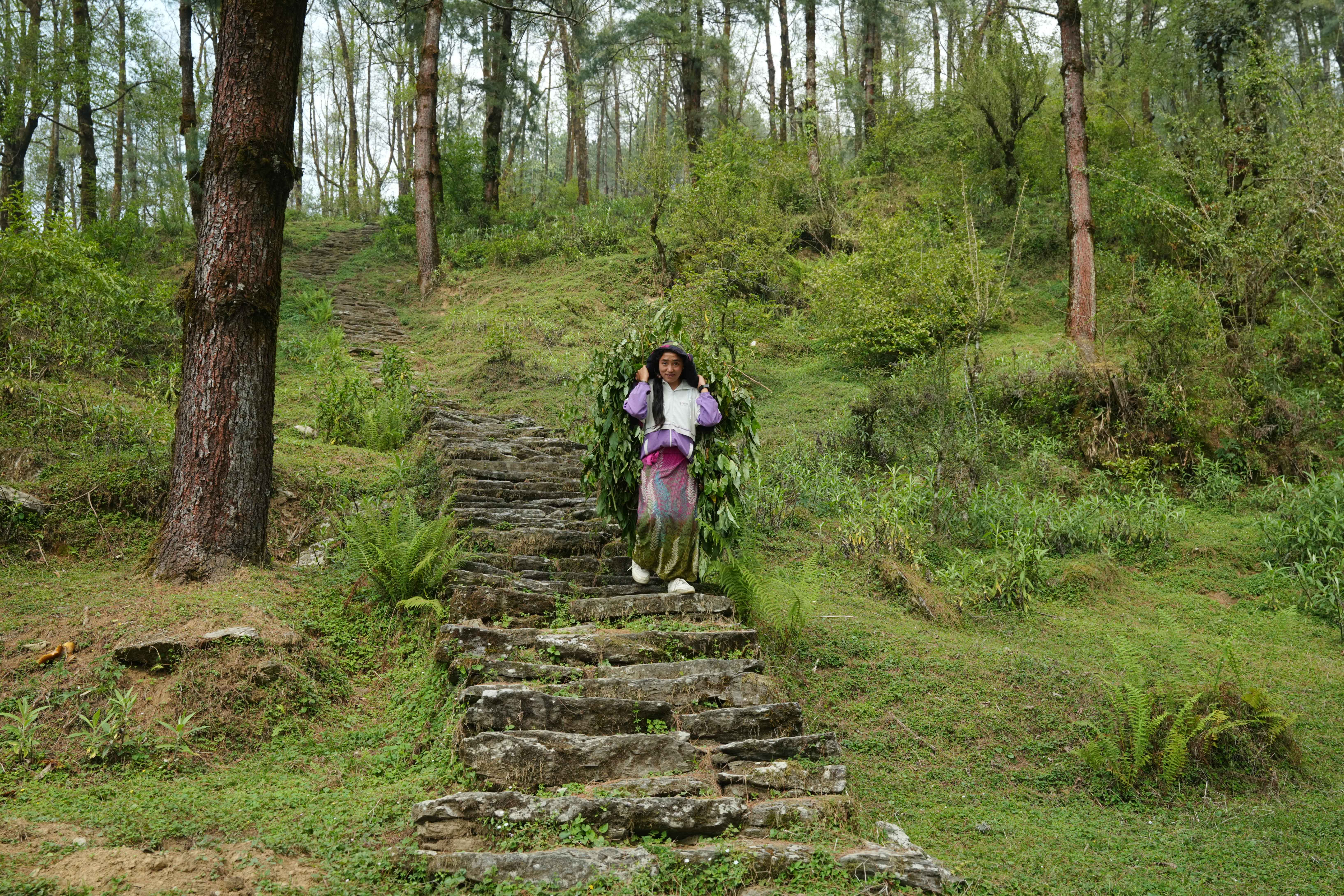 Barpak_Gorkha_DSC07179-1778904346.jpg