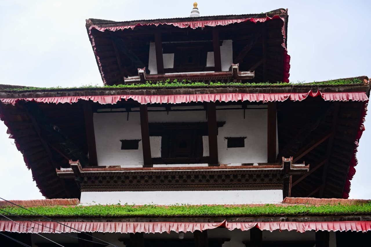 Basantapur-ma-Grass_NPL-(13)-1755484185.jpeg