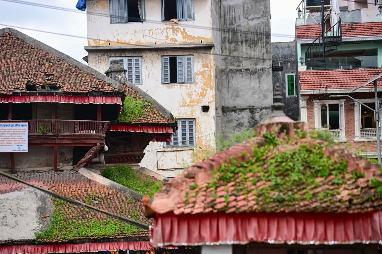Basantapur-ma-Grass_NPL-(14)-1755484184.jpeg