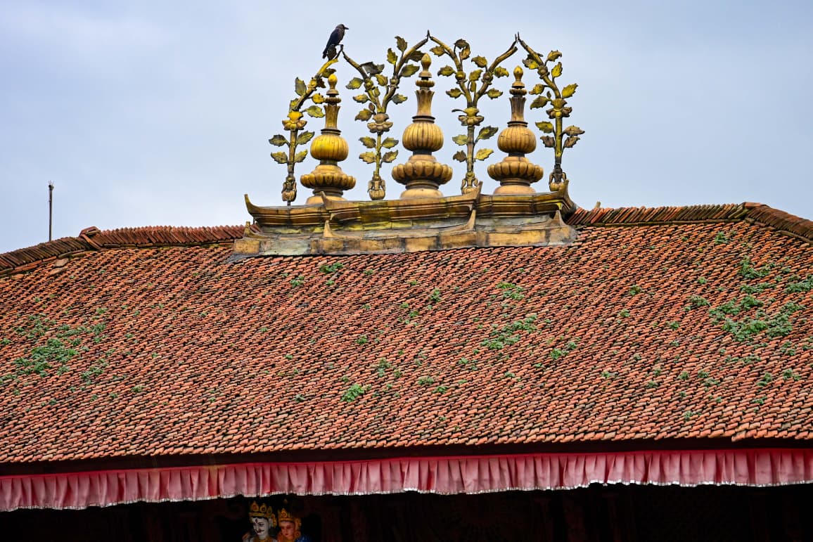 Basantapur-ma-Grass_NPL-(15)-1755484185.jpeg