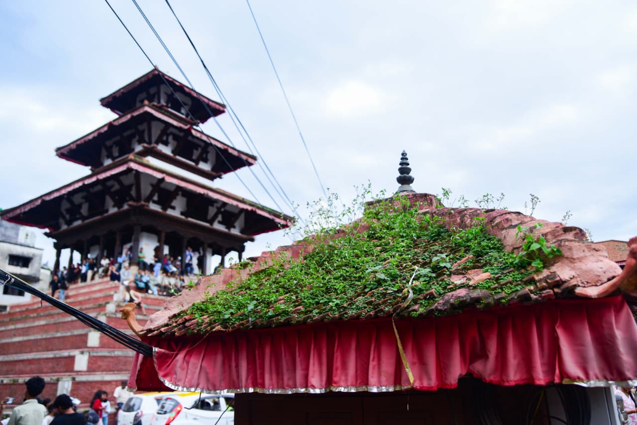 Basantapur-ma-Grass_NPL-(2)-1755484186.jpeg