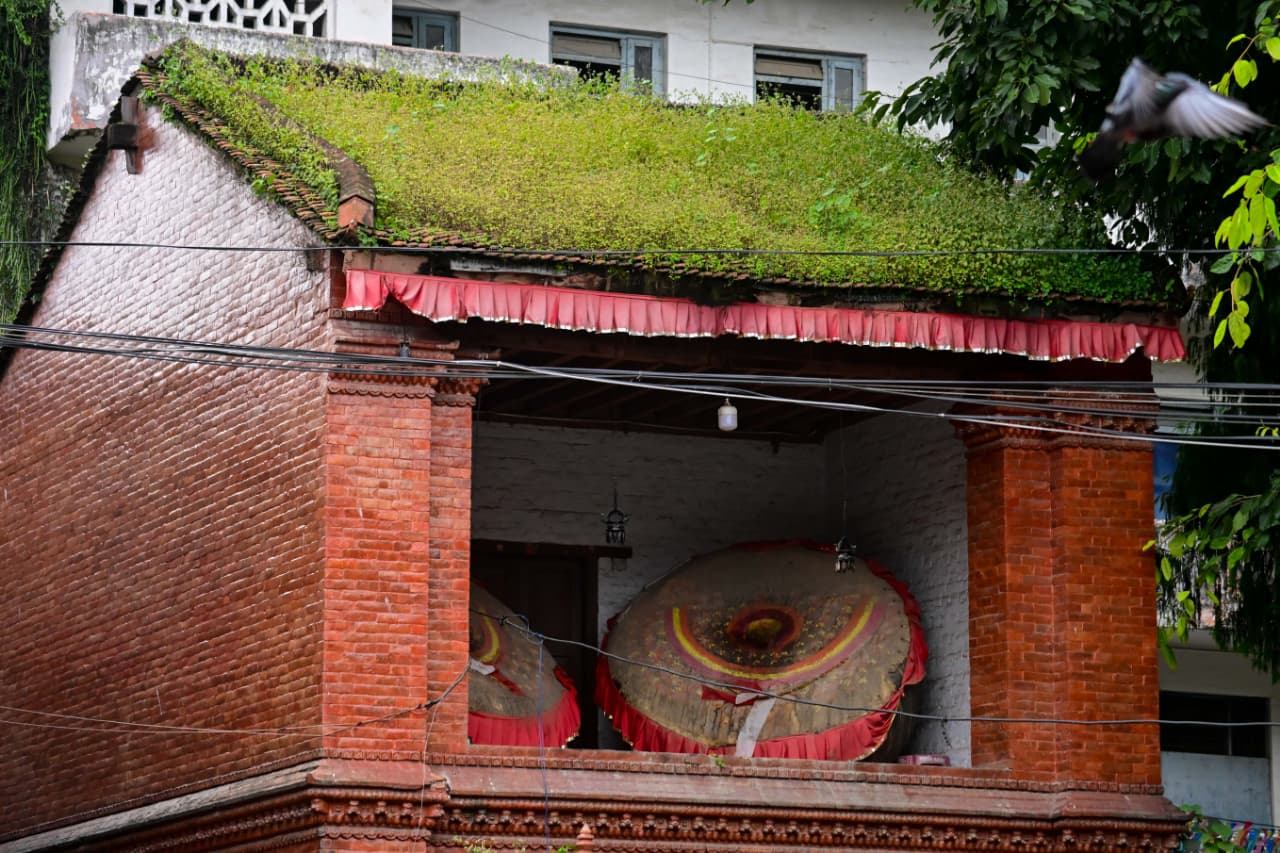 Basantapur-ma-Grass_NPL-(21)-1755484184.jpeg