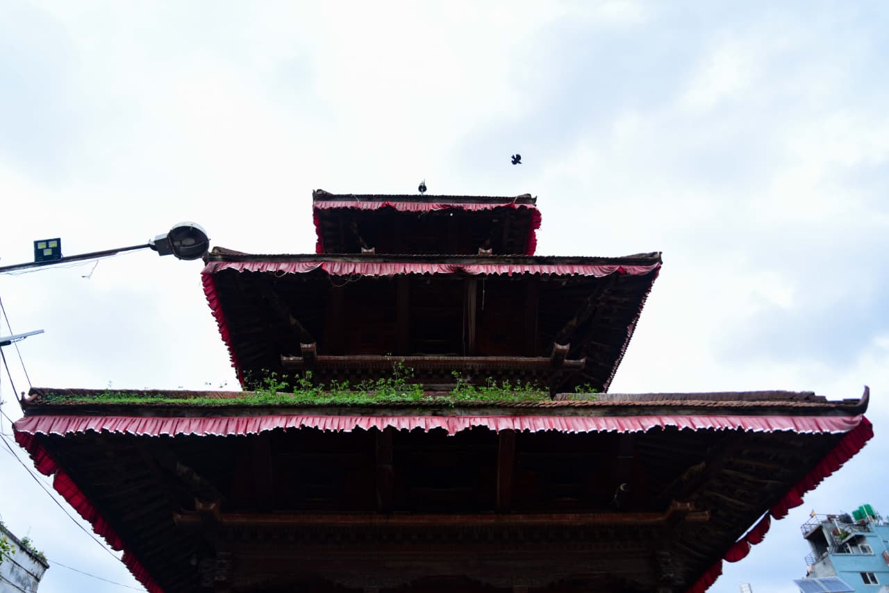 Basantapur-ma-Grass_NPL-(24)-1755484183.jpeg