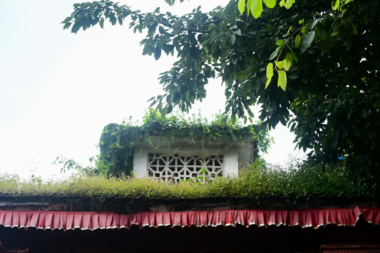 Basantapur-ma-Grass_NPL-(26)-1755484183.jpeg