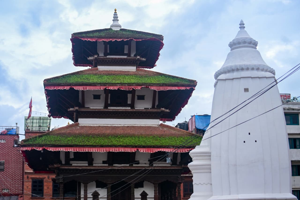 Basantapur-ma-Grass_NPL-(30)-1755484182.jpeg