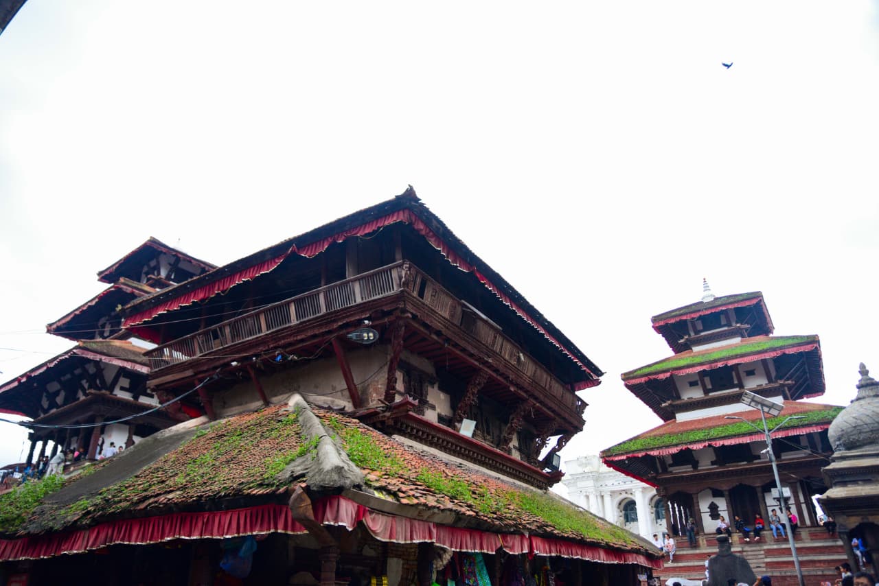 Basantapur-ma-Grass_NPL-(6)-1755484186.jpeg