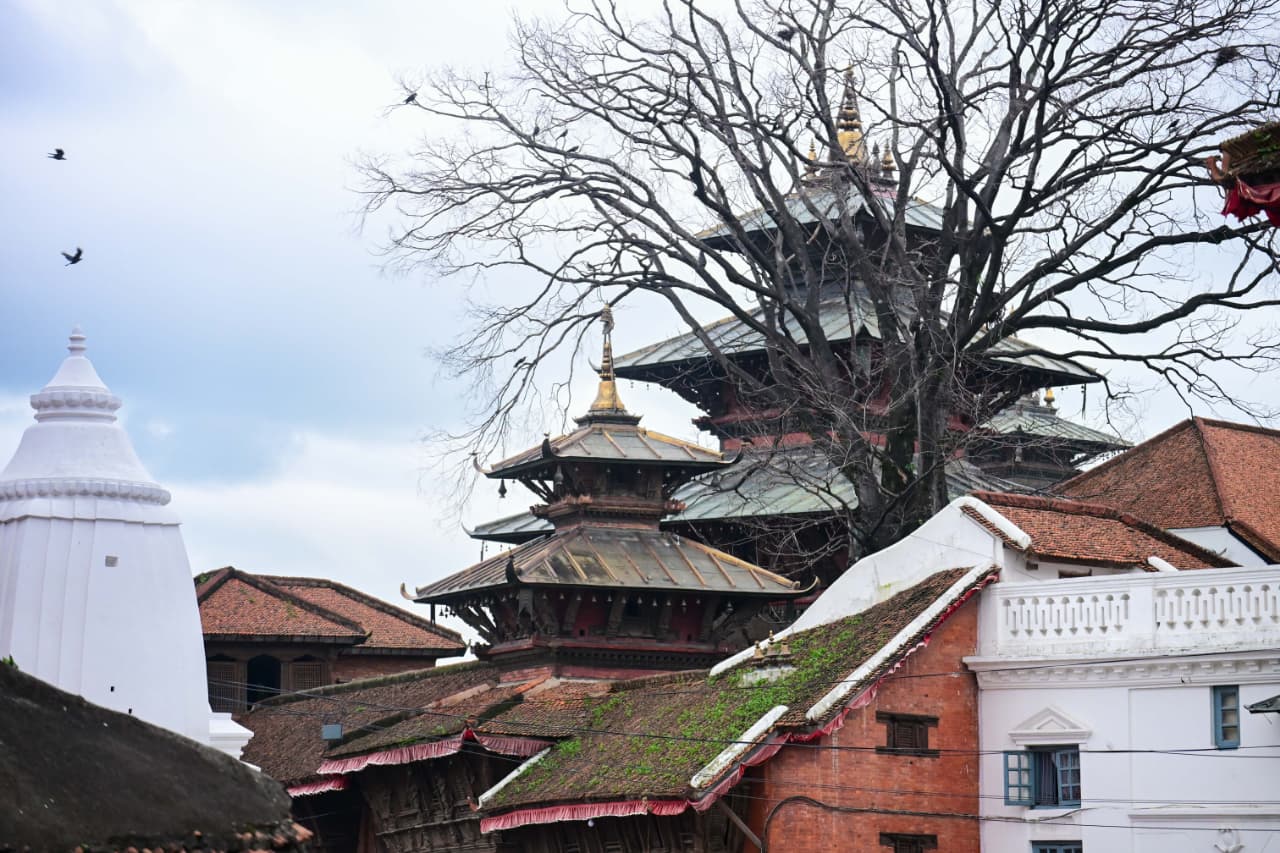 Basantapur-ma-Grass_NPL-(7)-1755484186.jpeg