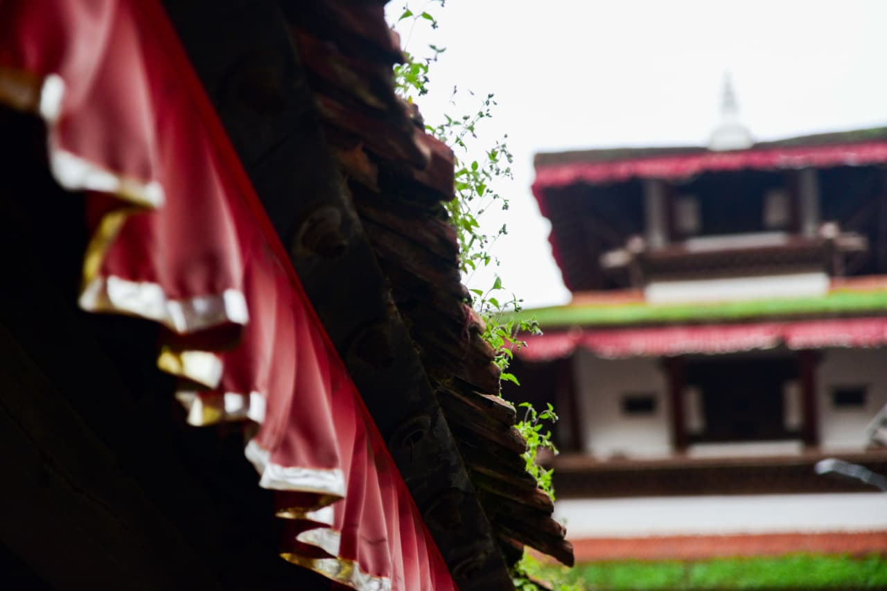 Basantapur-ma-Grass_NPL-(8)-1755484186.jpeg