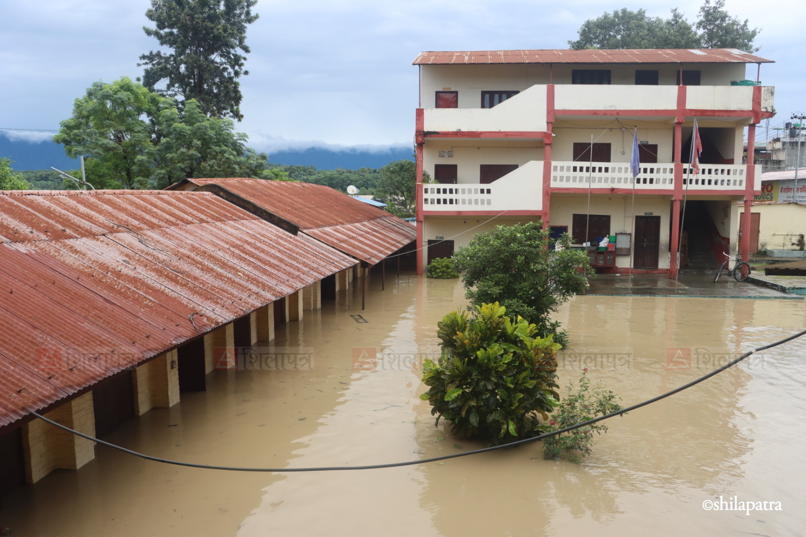 Bastima-badhi-chitwan_NPL-(1)-1790487711.jpeg