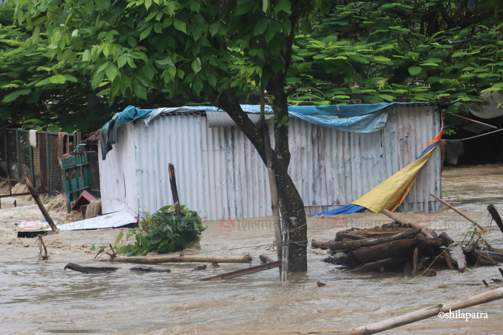 Bastima-badhi-chitwan_NPL-(11)-1790487714.jpeg