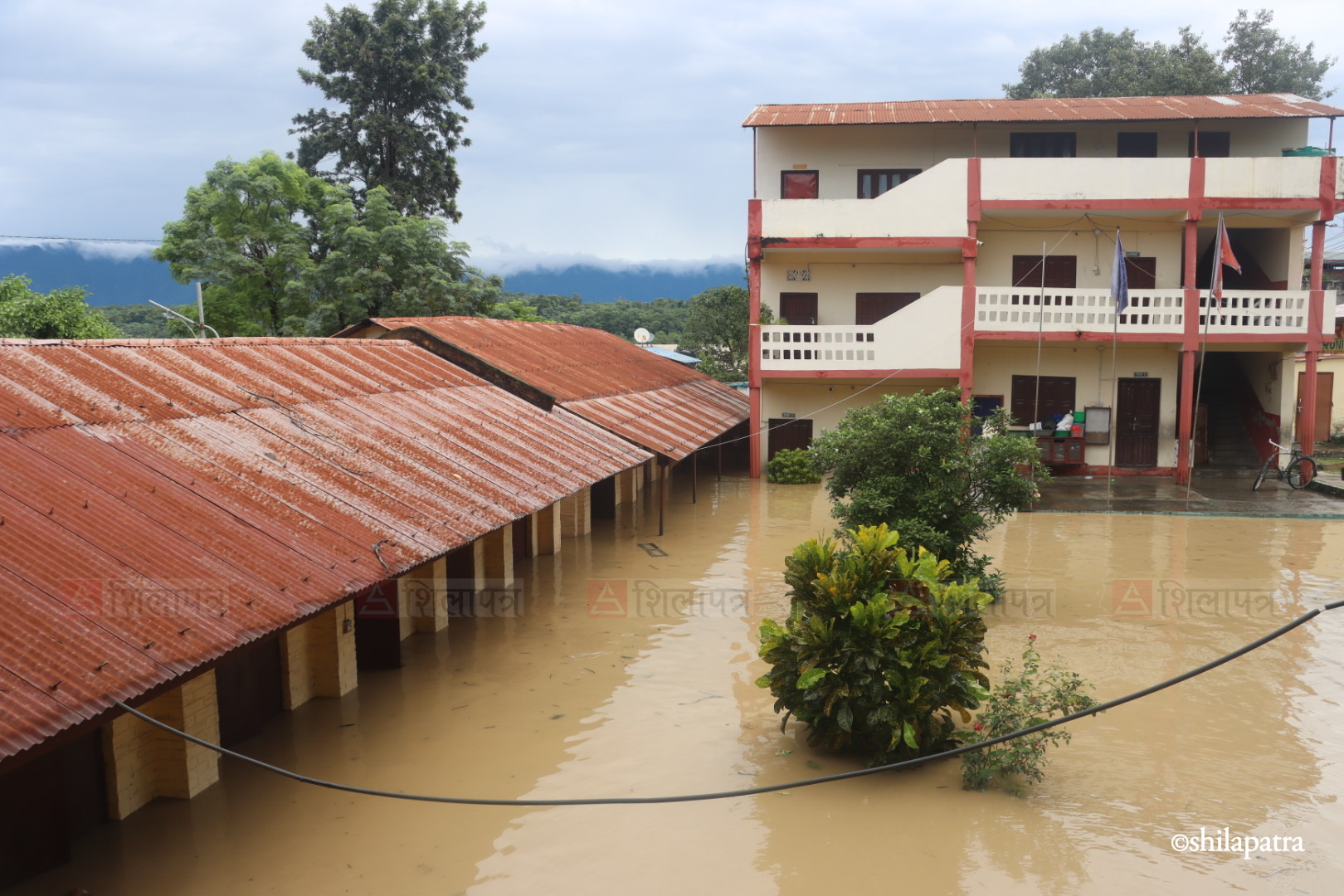 Bastima-badhi-chitwan_NPL-(5)-1790487712.jpeg