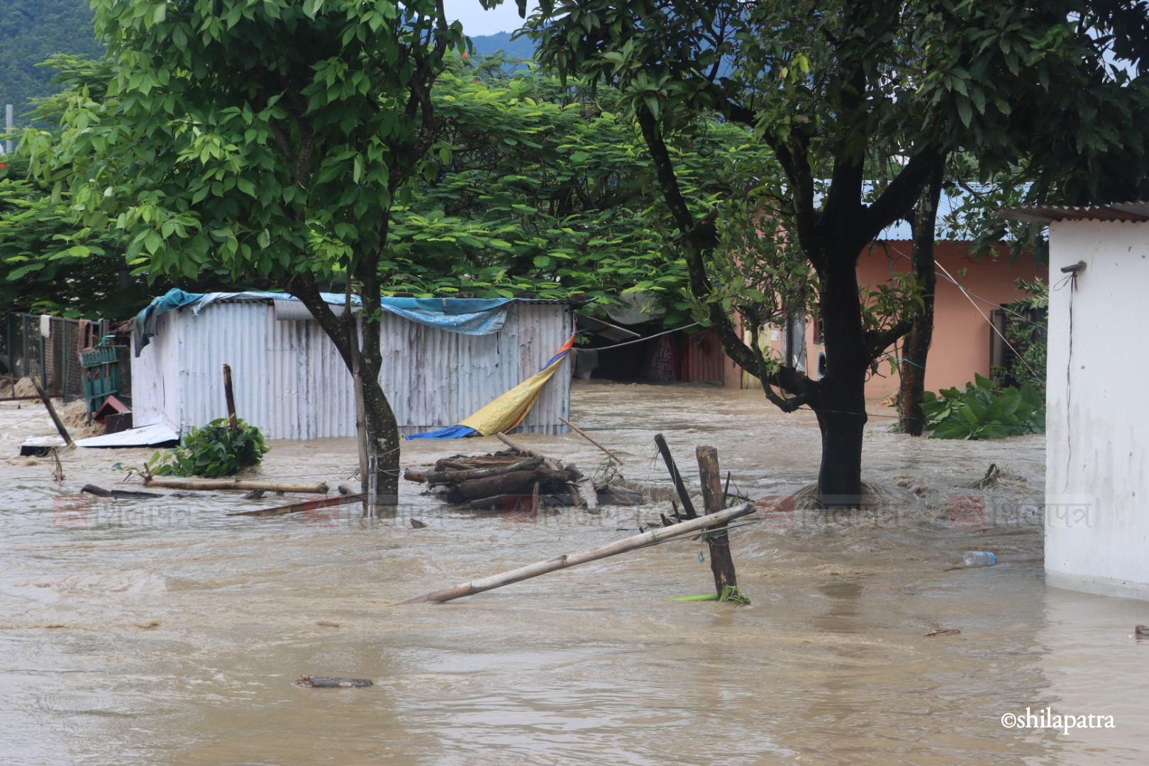 Bastima-badhi-chitwan_NPL-(6)-1790487712.jpeg