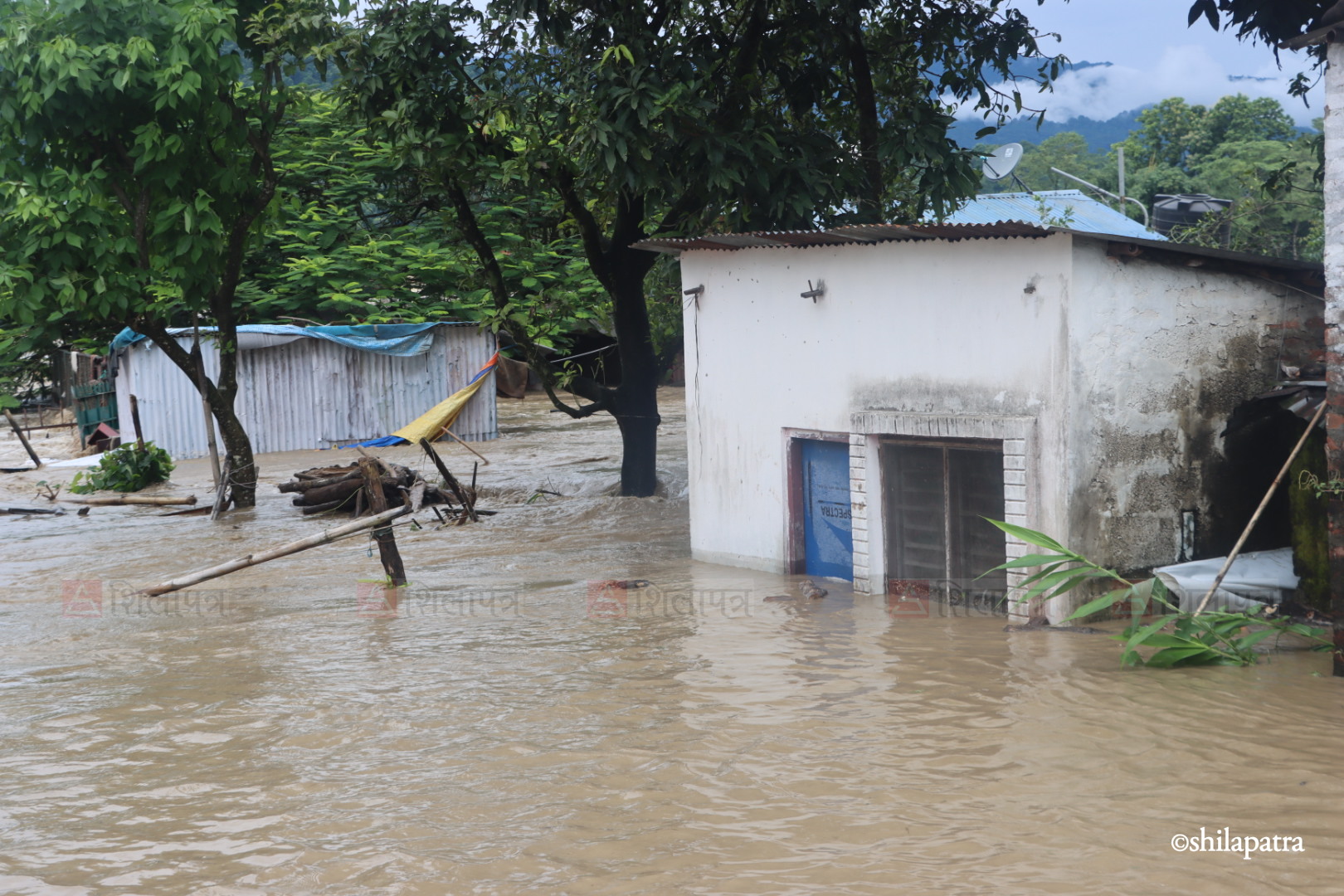 Bastima-badhi-chitwan_NPL-(8)-1790487713.jpeg