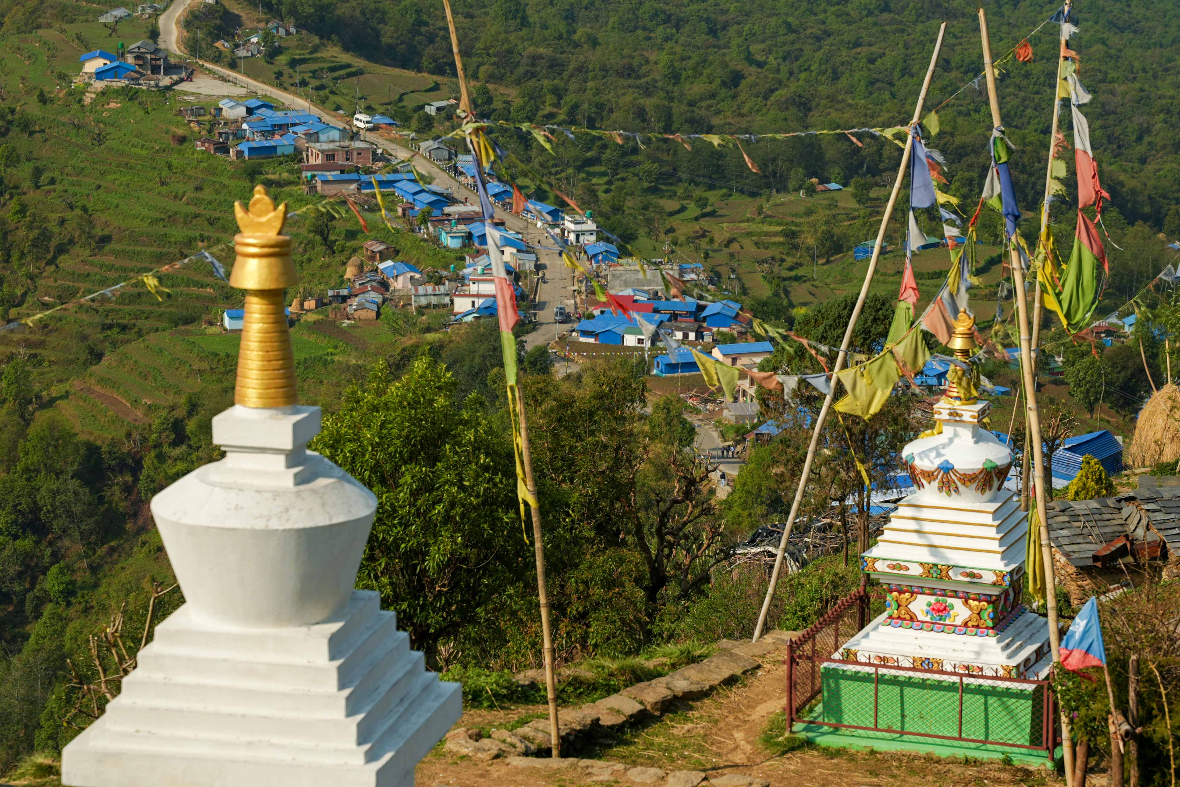 Bhachchek-Bazar_-434-1778219248.jpg