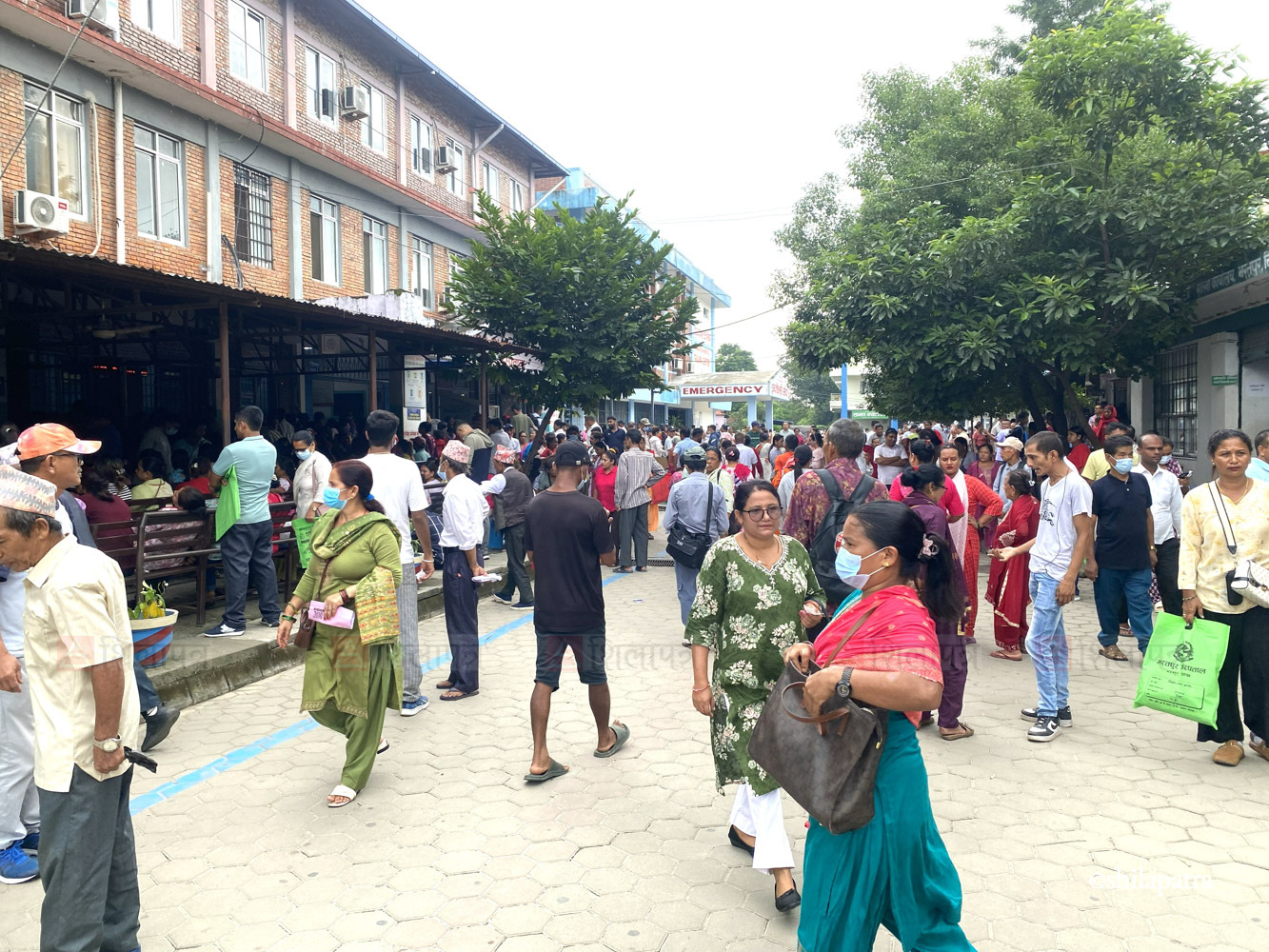 Bharatpur-Hospital-Photo-By-Nisha-Shrestha_NPL-(13)-1785834226.jpg