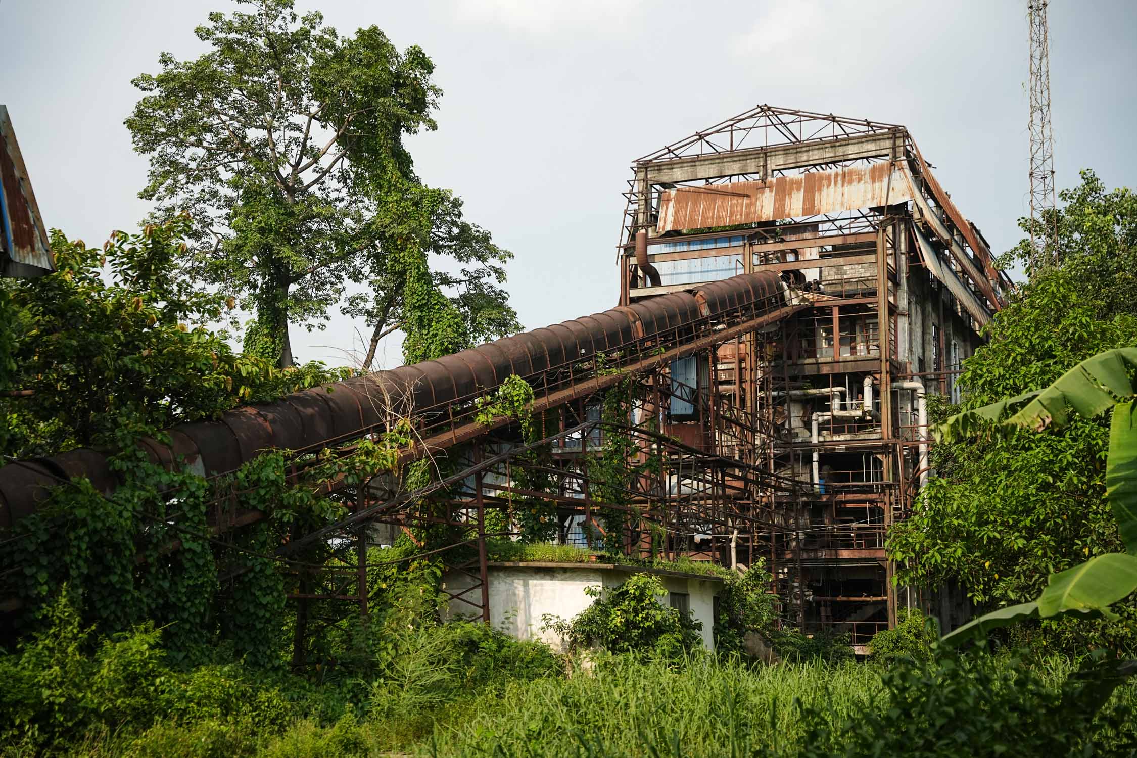 Bhrikuti-Paper-Factory,-Nawalparasi_NPL_15-1783740630.jpg