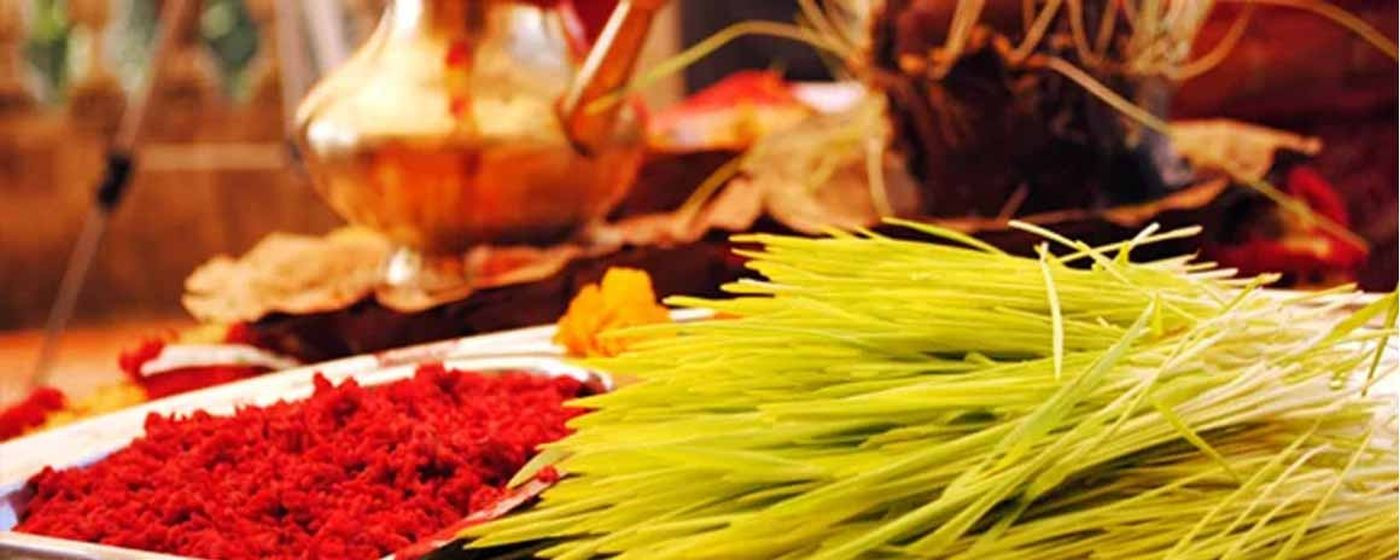 तेस्रो दिन आज पनि टीका–जमरा लगाएर आशीर्वाद थाप्ने क्रम जारी