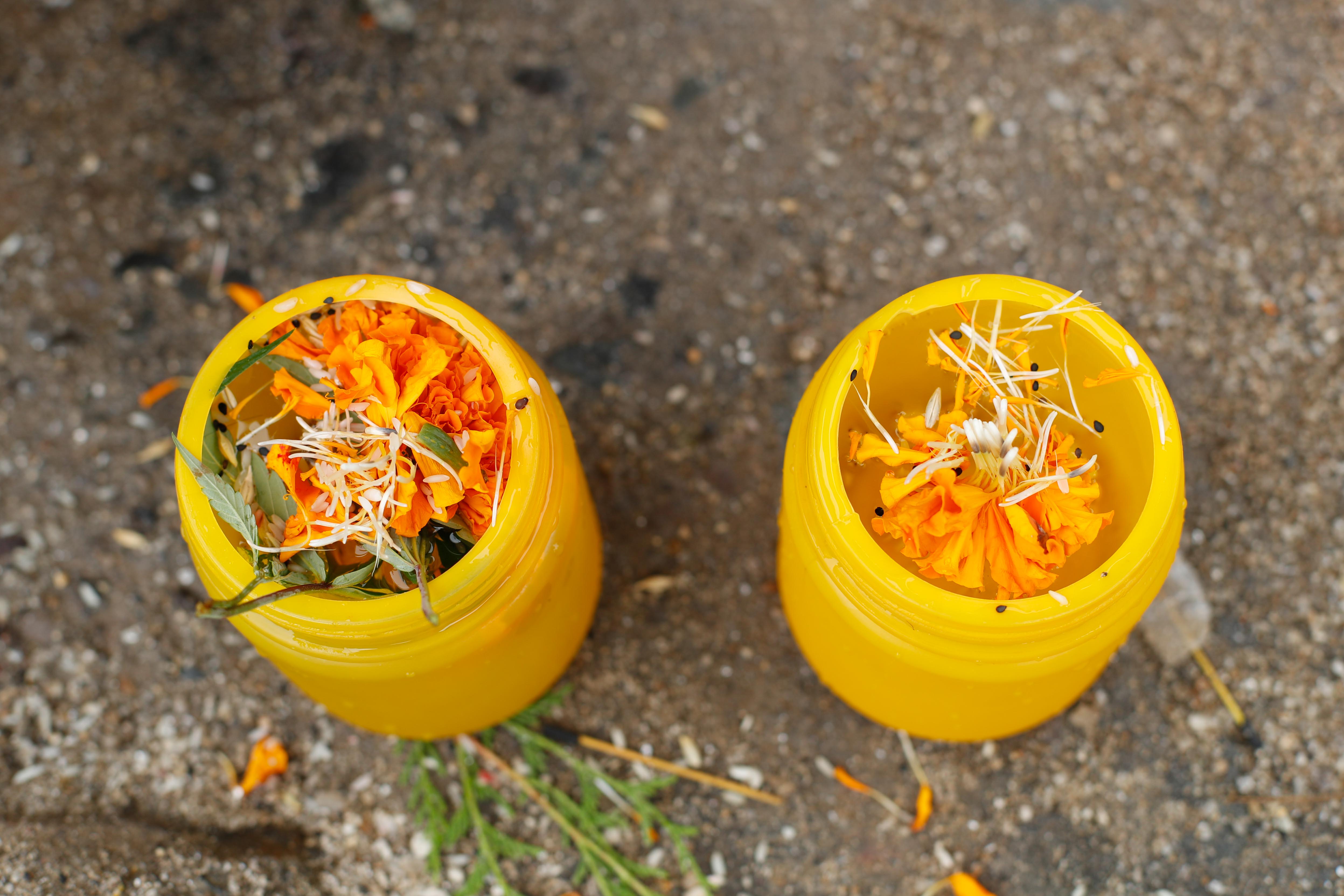 Bolbom-Sundarijal_-10-1753073470.jpg