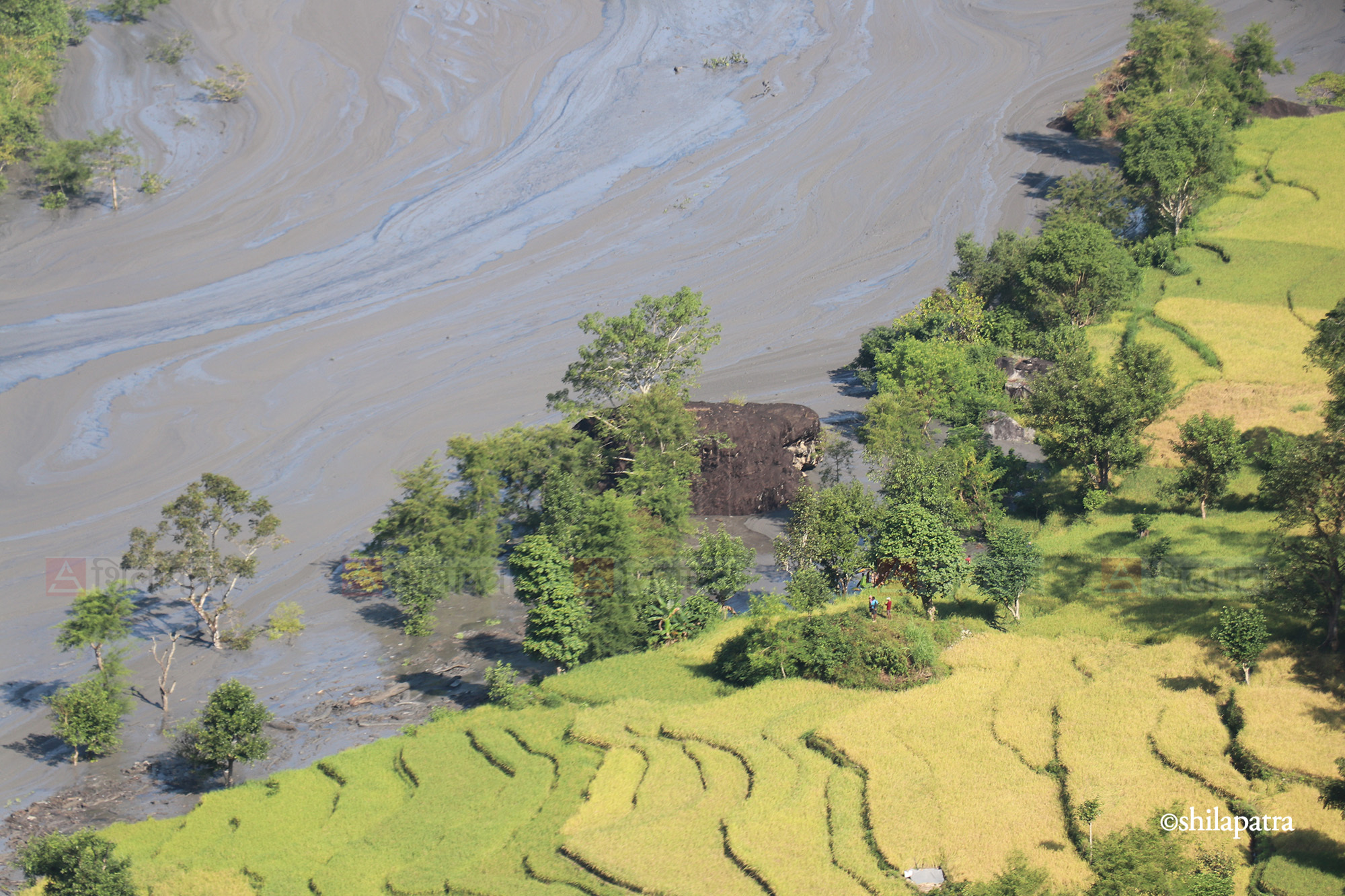 Budhagandaki-badhi_Nepal-Photo-Library-(1)-1791701362.jpeg