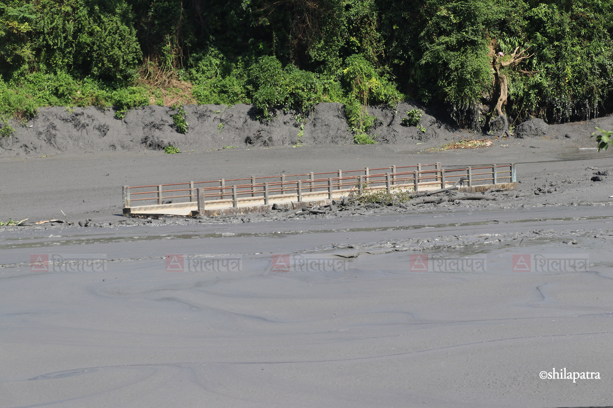Budhigandaki-Badhi_NPL-(7)-1791701108.jpeg