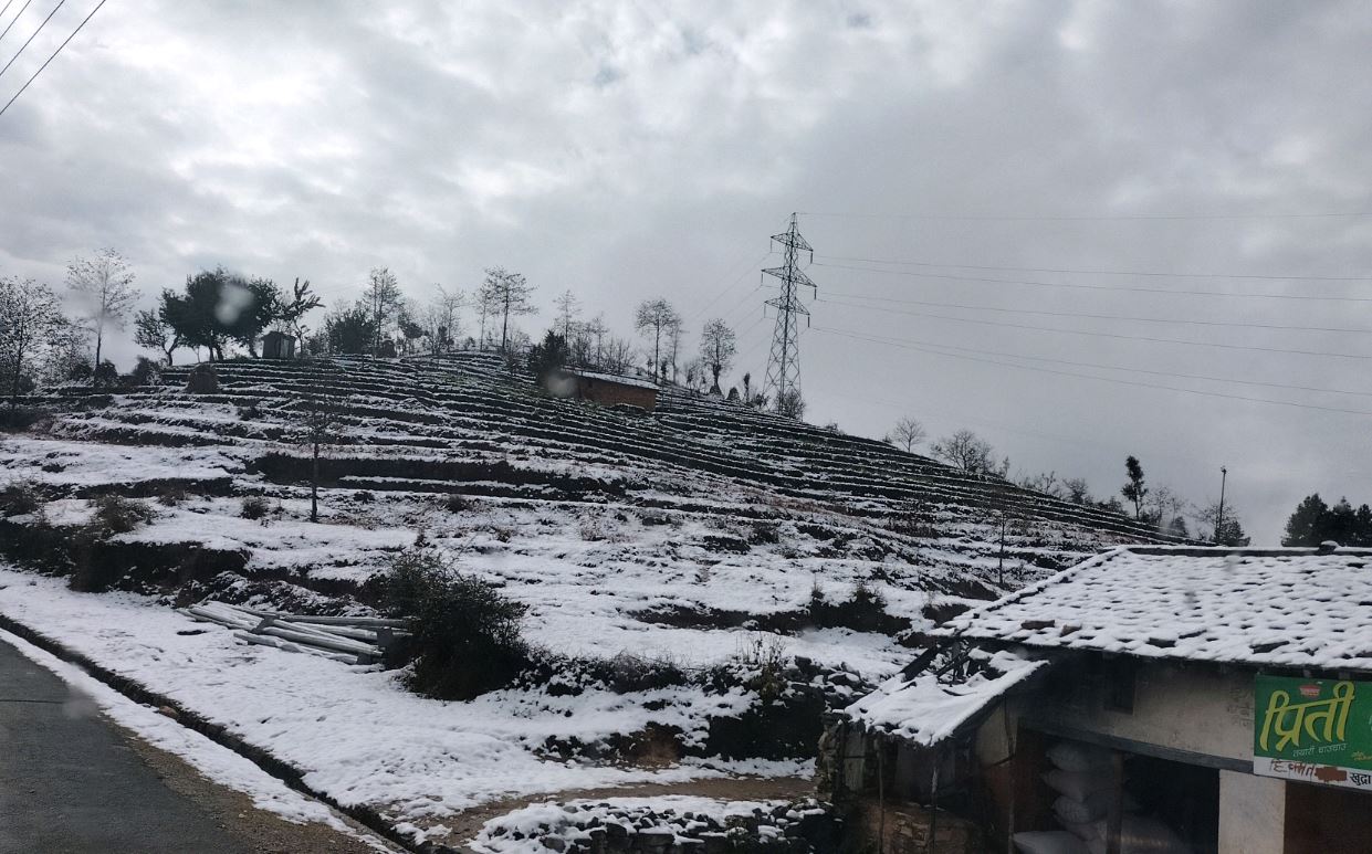 हिमपात र शीतलहर प्रभावितलाई सरकारले राहत दिने