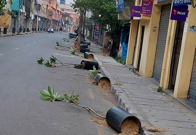 एकाबिहानै कसले ढलायो भैरहवा सडकपेटीका १२ गमलासहित बिरुवा ?