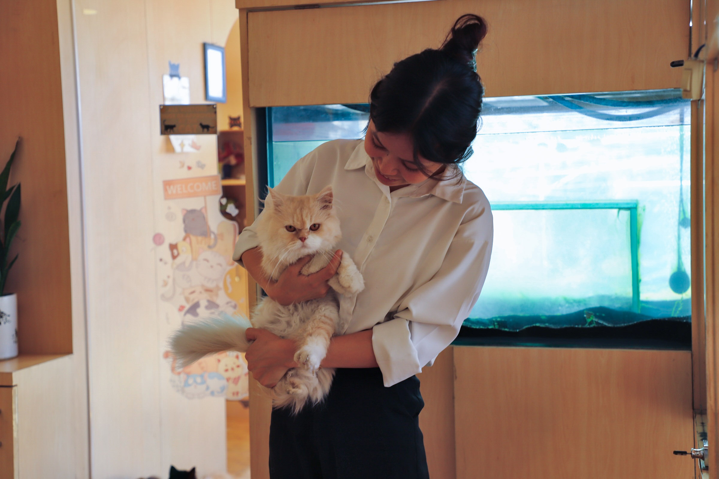 Cat-cafe_NPL13-1754811503.jpg
