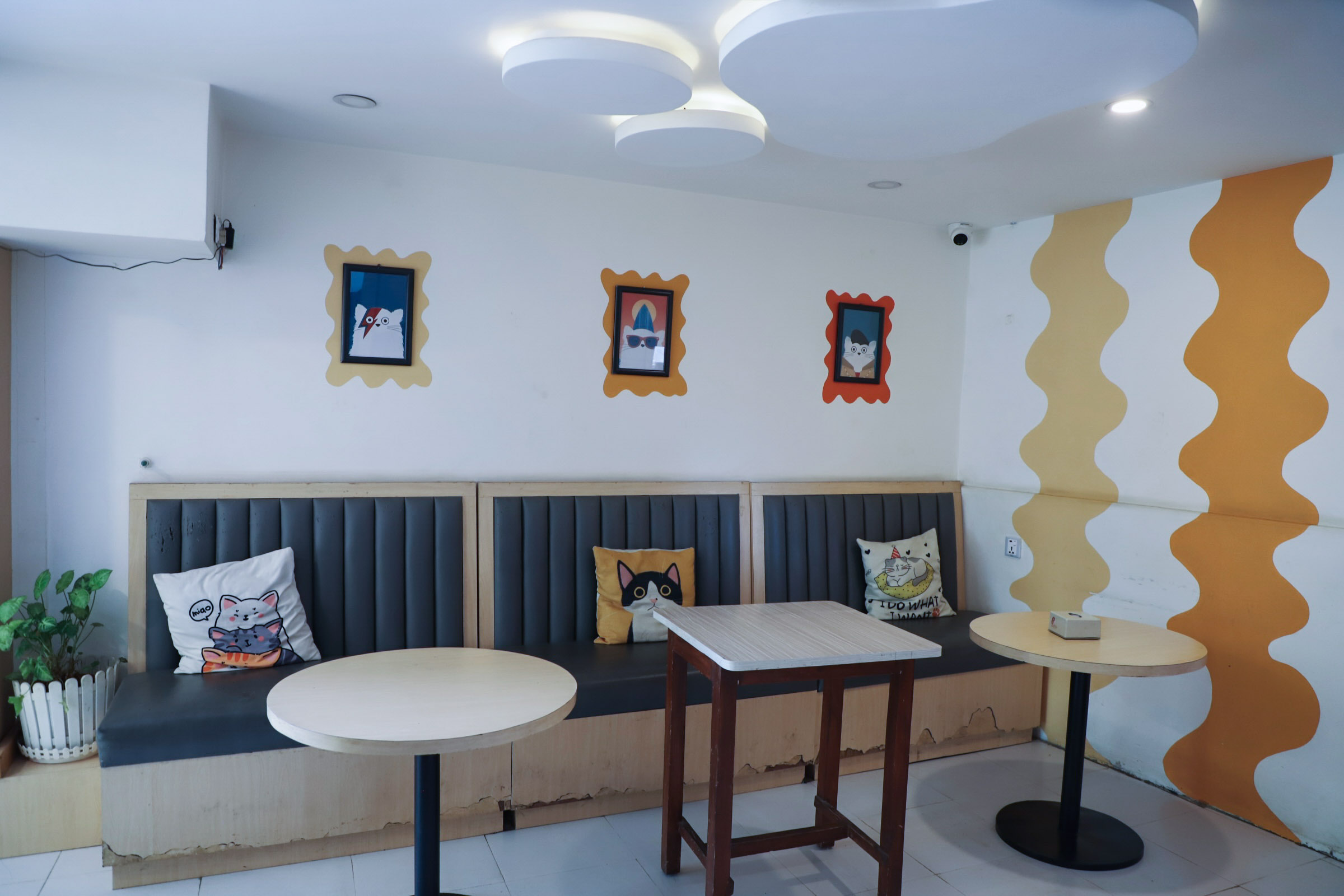 Cat-cafe_NPL15-1754811503.jpg