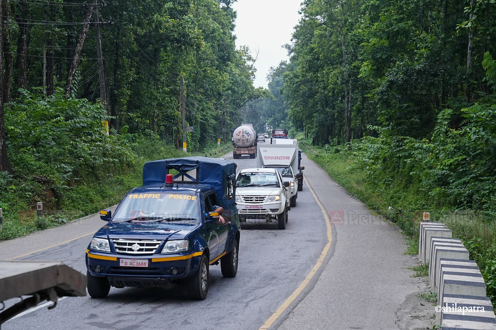 Chitwan-Dead-Bodies_NPL-(8)-1788005264.jpg