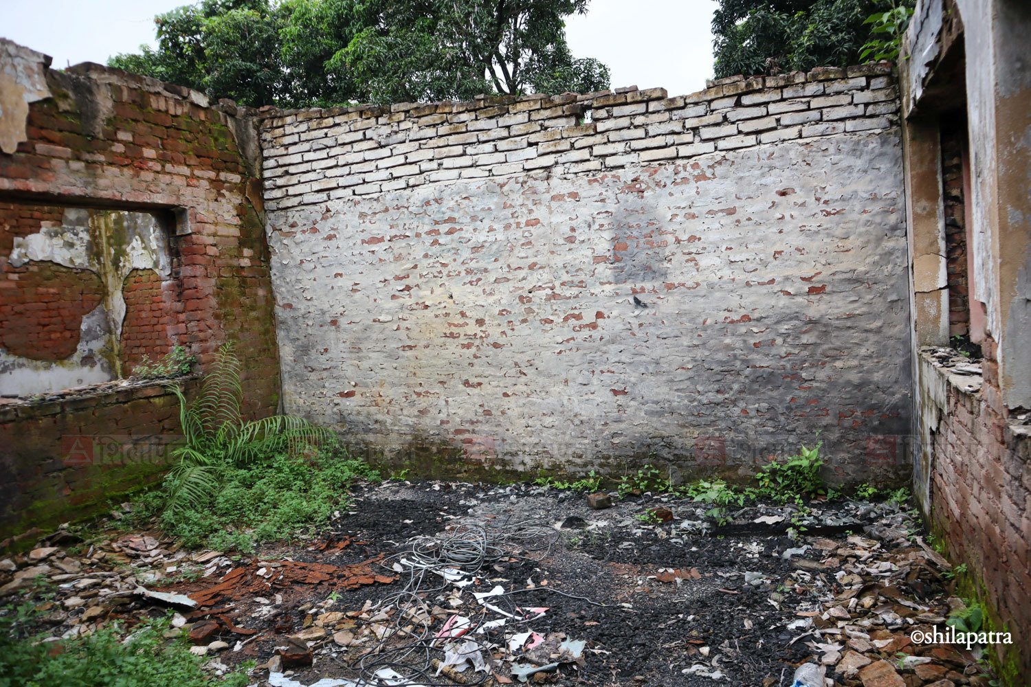Chitwan-GenZ-Sarkari-Ofiice_NPL-(14)-1789476038.jpg