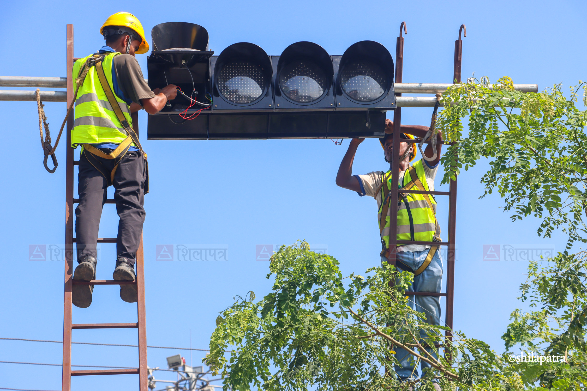Chitwan-Traffic-Light_NPL_NishaShrestha-(3)-1790827827.jpg