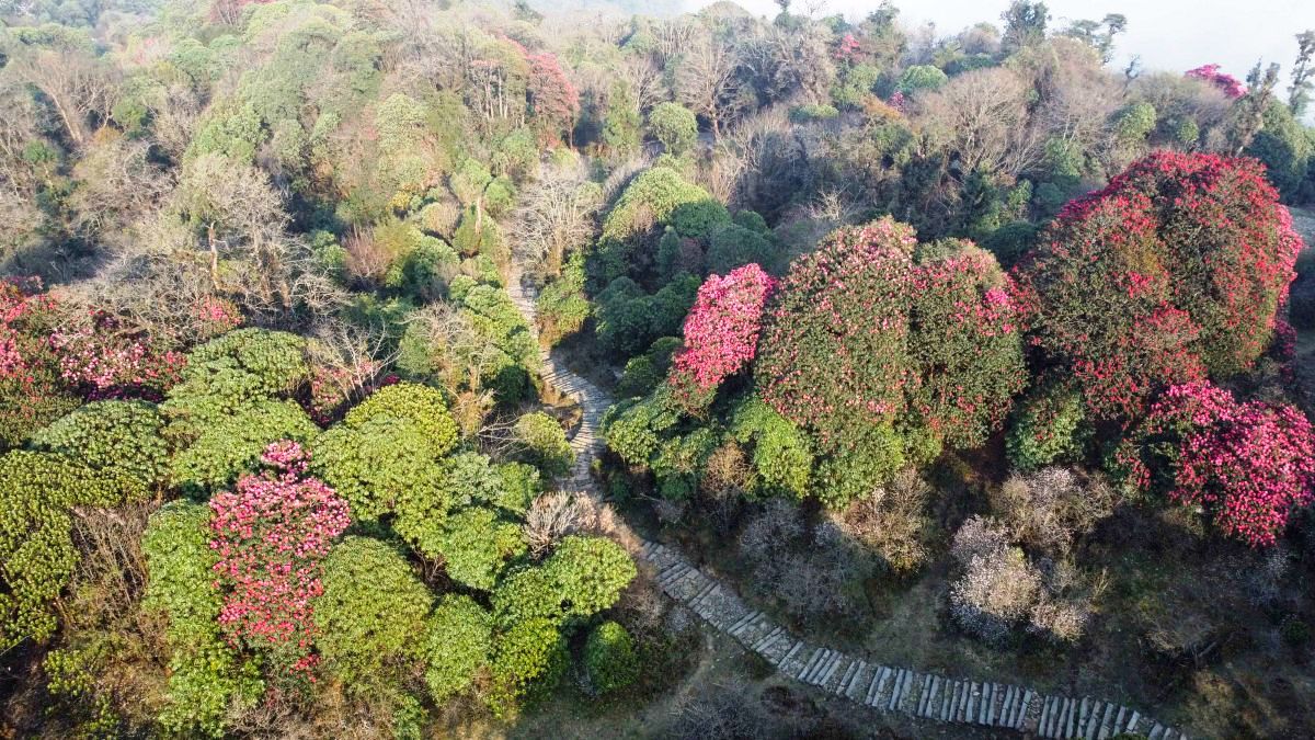 DJI_0982-1746344553.jpg