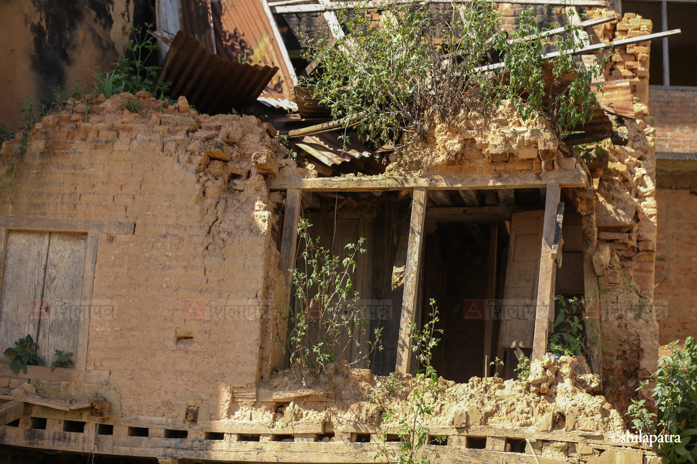 Dapcha-Village-Kavre-Photos_NPL-(26)-1791863971.jpg
