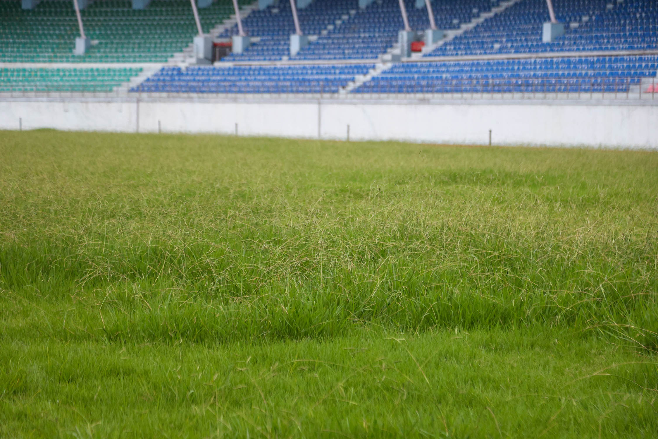 Dashrathstadium_NPL11-1783919921.jpg
