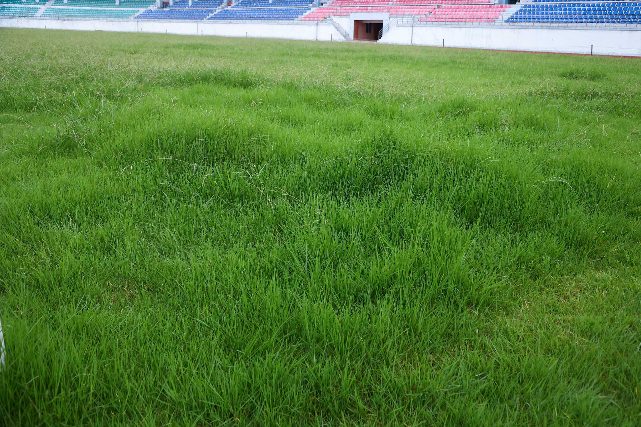 Dashrathstadium_NPL7-1783919923.jpg