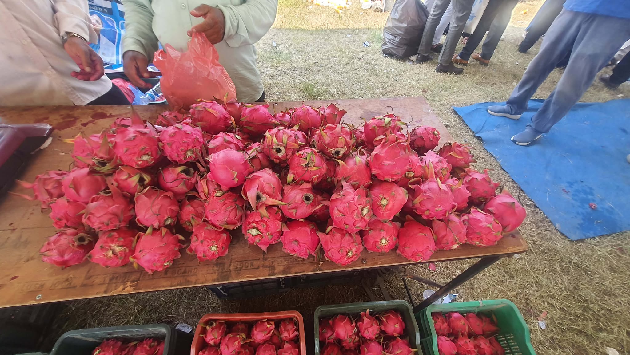 Dragan-Fruits-(1)-1782290664.jpg