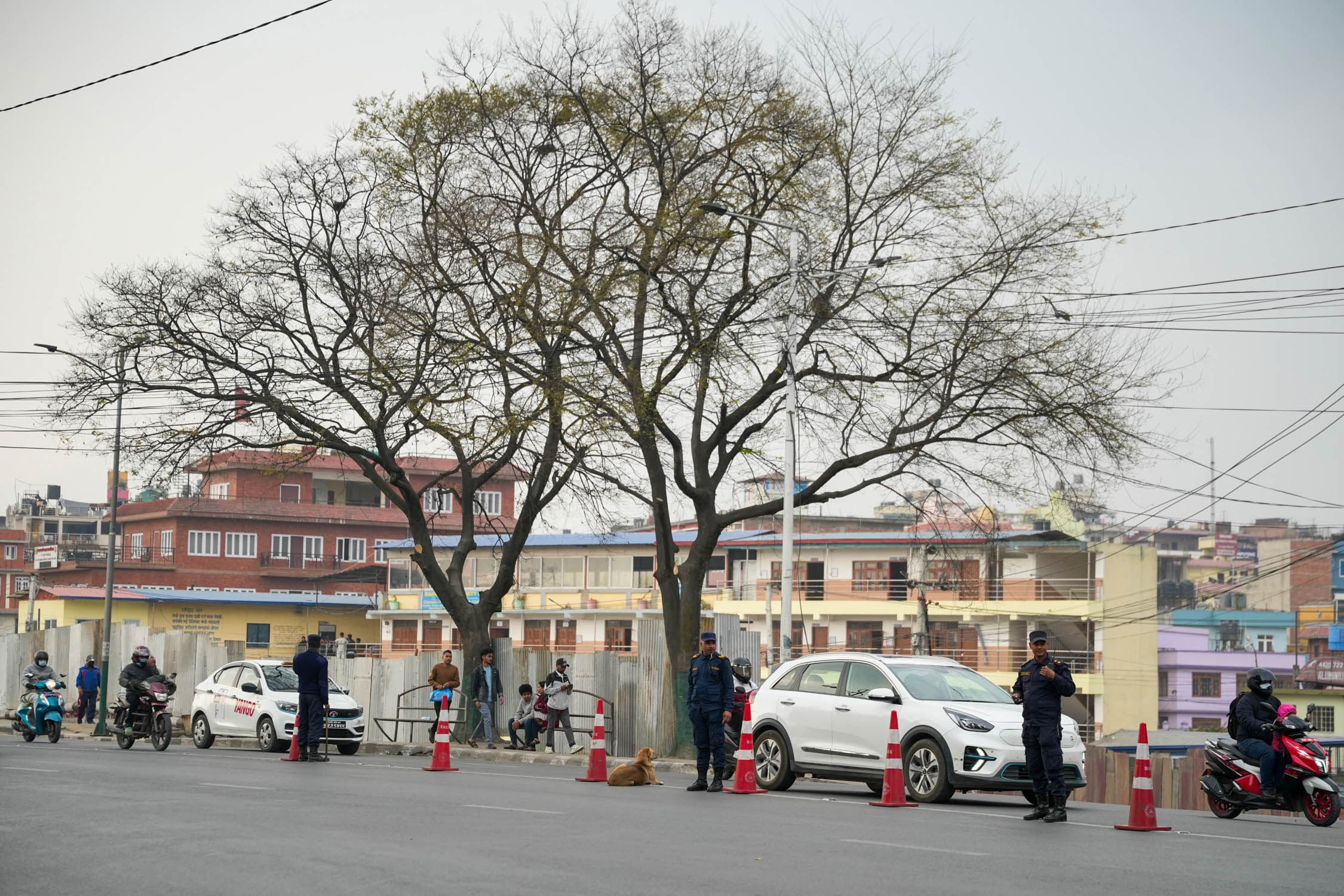 Election-police-on-Duty-Kathmandu-traffic_NPL1-1772168609.jpg