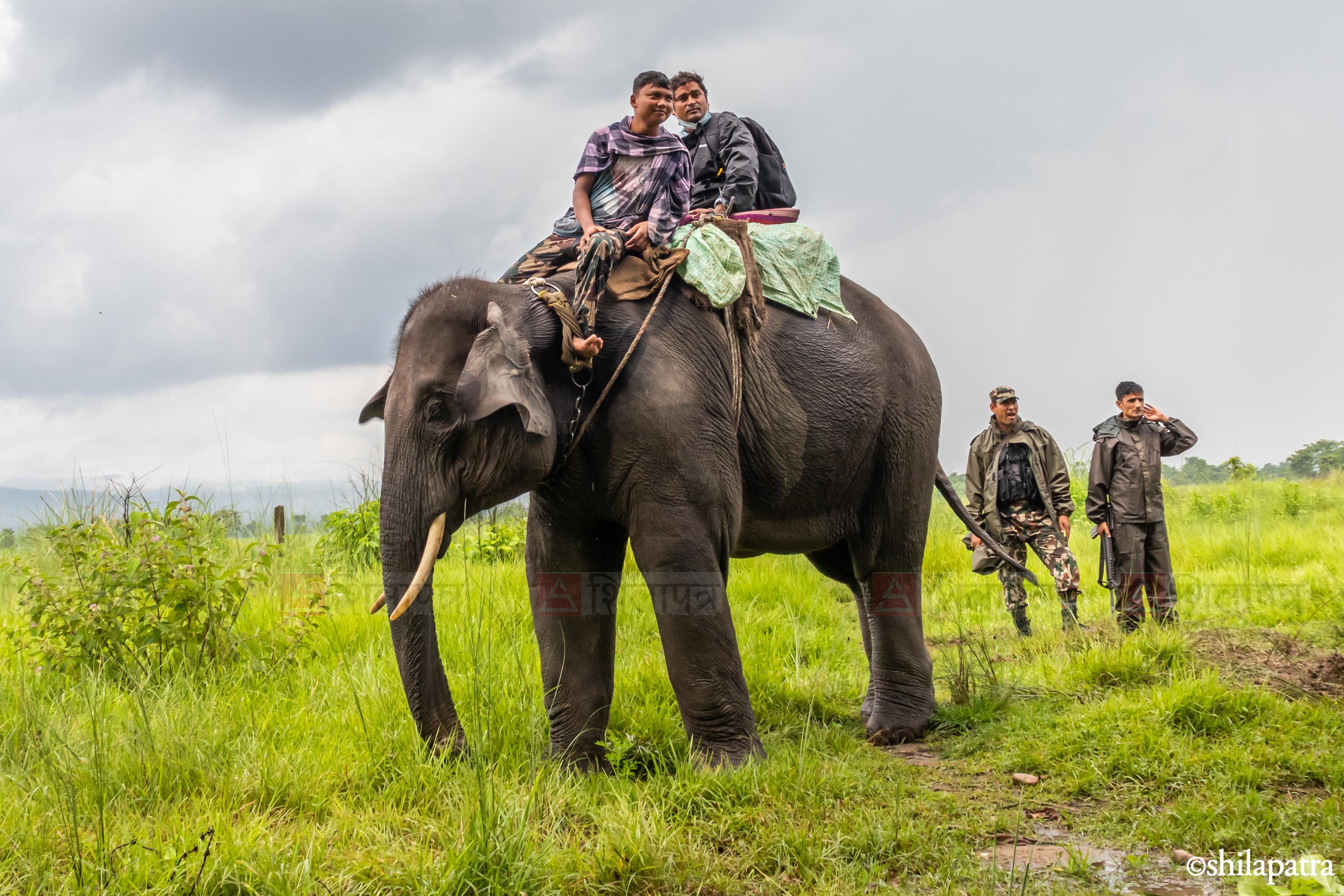 Elephant&ndash;-World-Elephant-Day_-(10)-1786507138.jpg