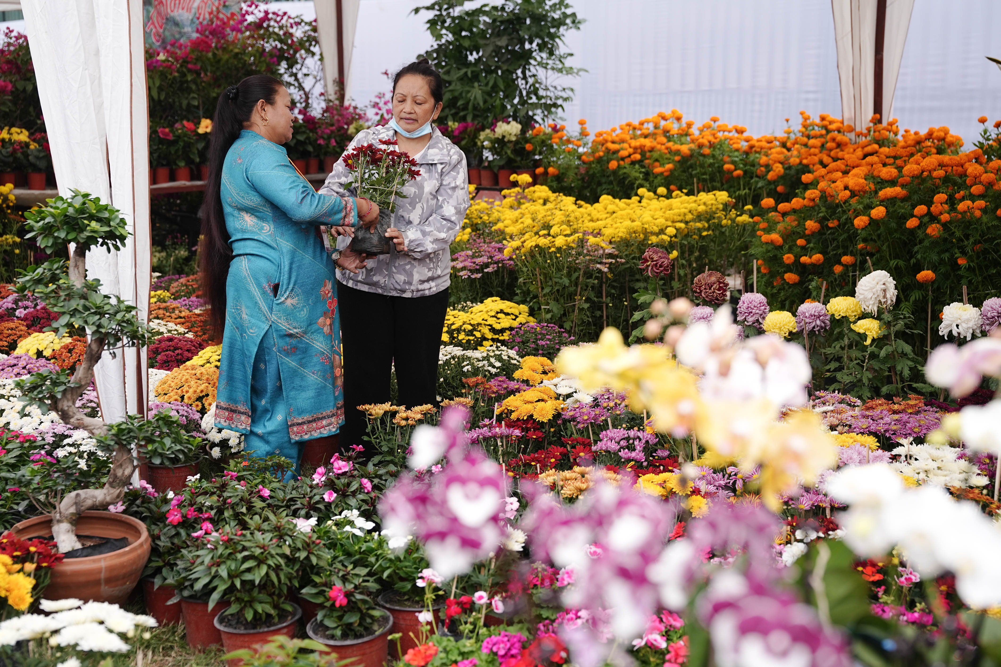 Flora-Expo--2637-1793257250.jpg