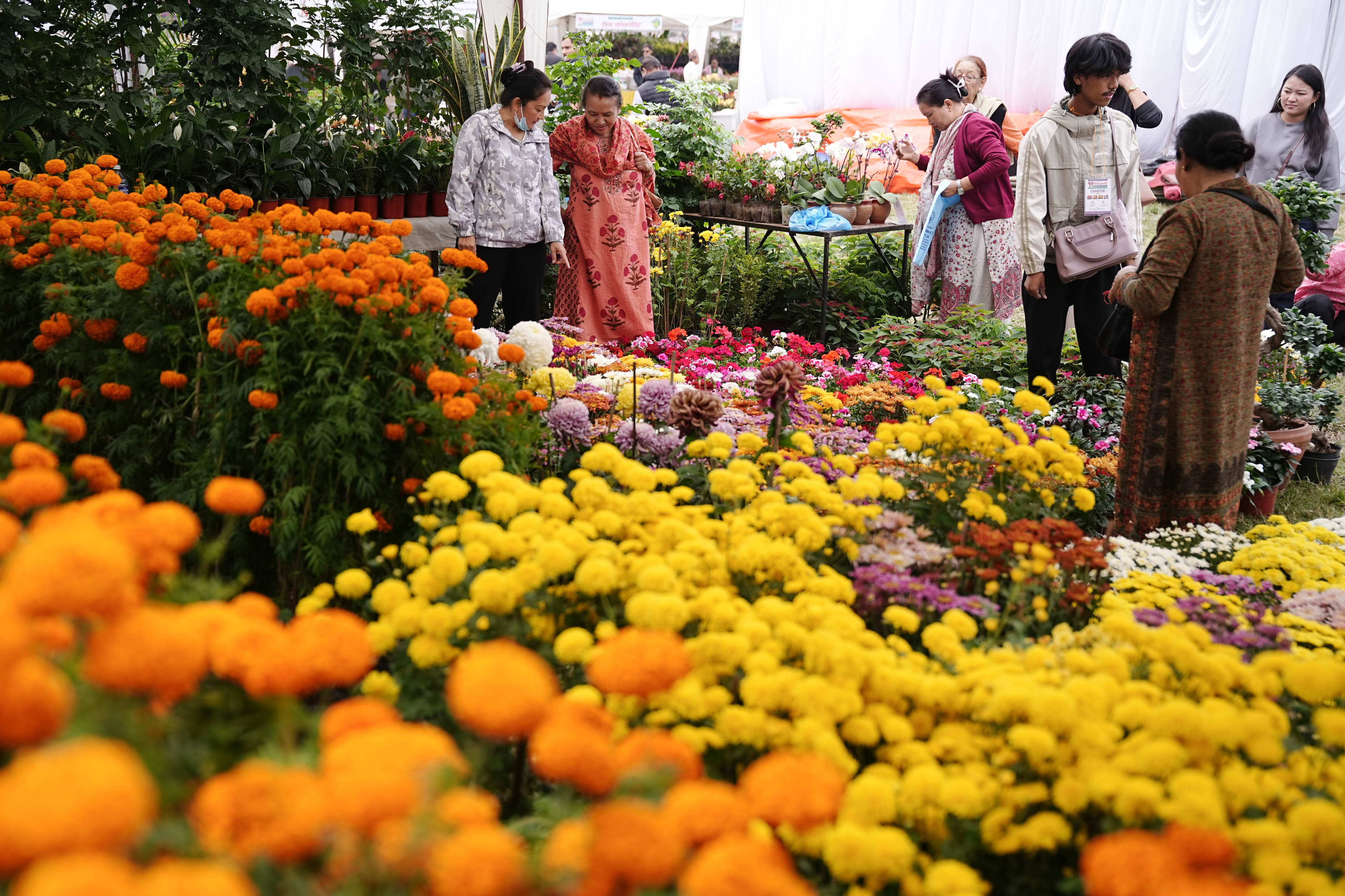 Flora-Expo--2638-1793257253.jpg
