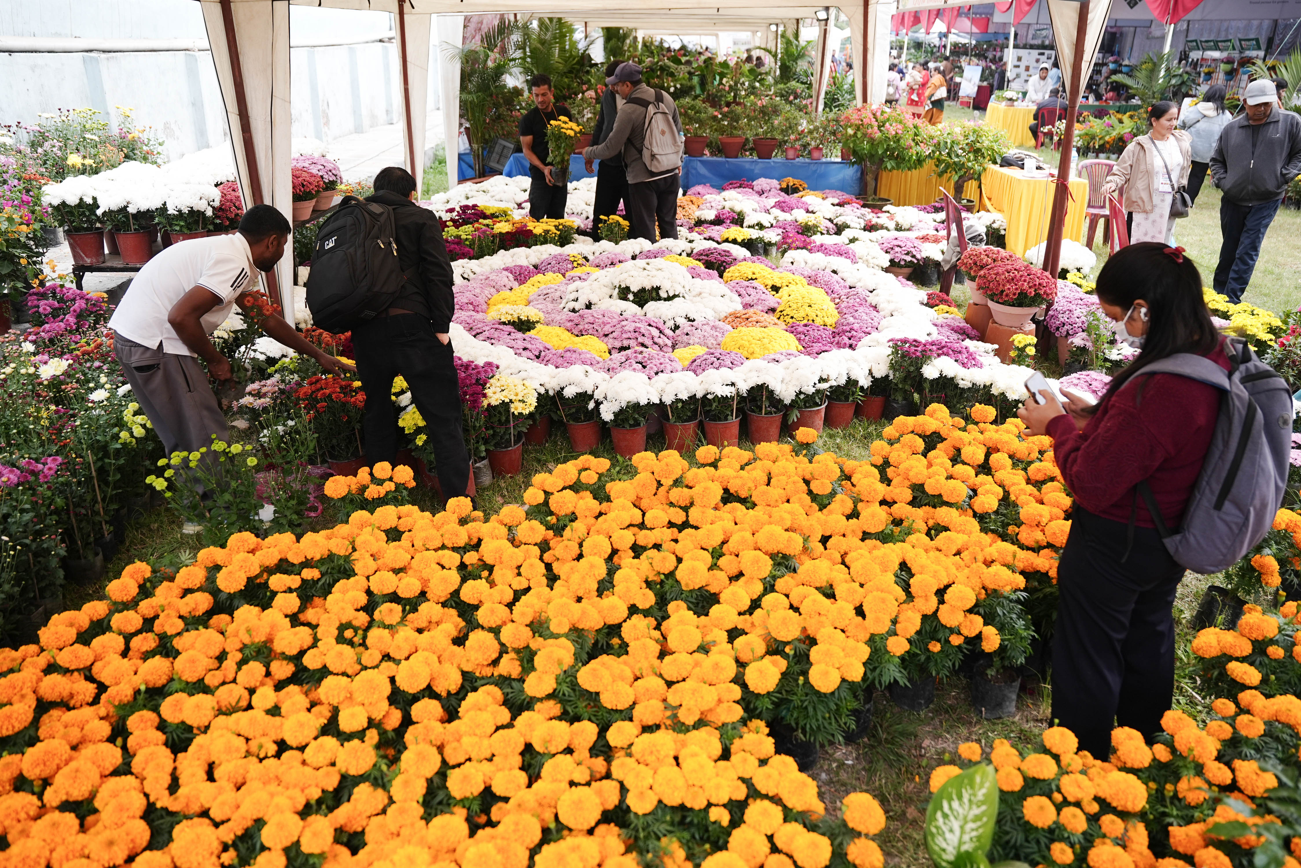 Flora-Expo--2639-1793257254.jpg