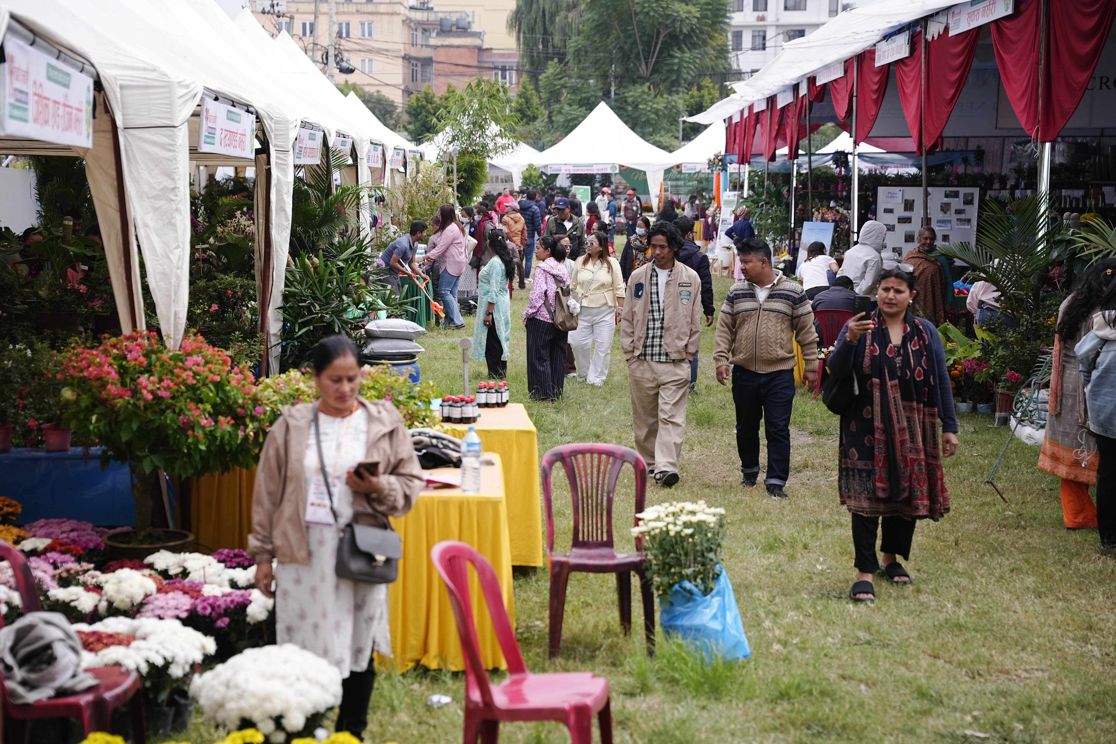 Flora-Expo--2640-1793257257.jpg